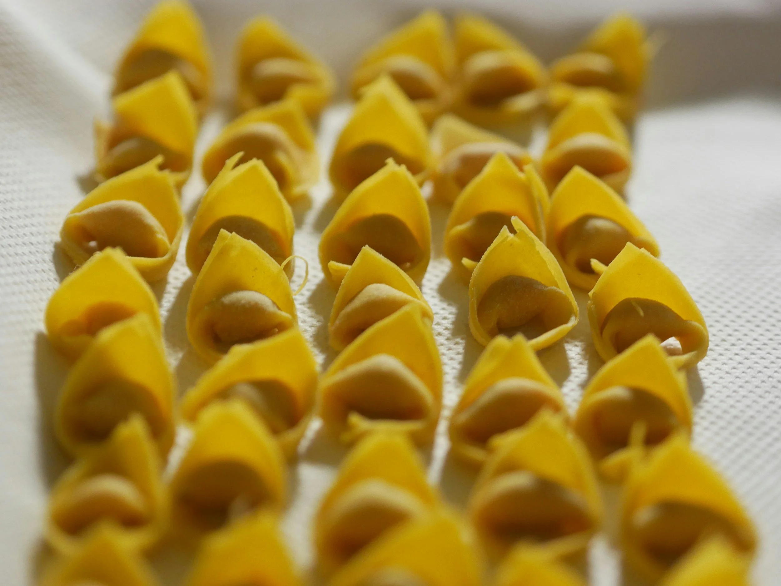 Spinach Ricotta Stuffed Shells