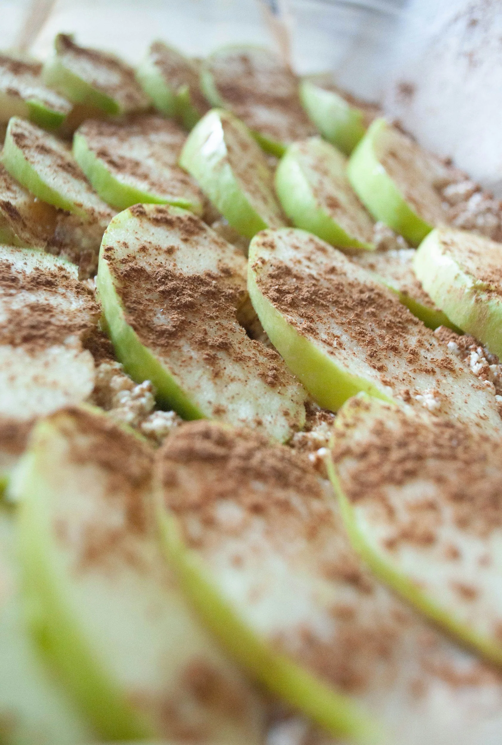 Apple Cinnamon Steel-Cut Oats