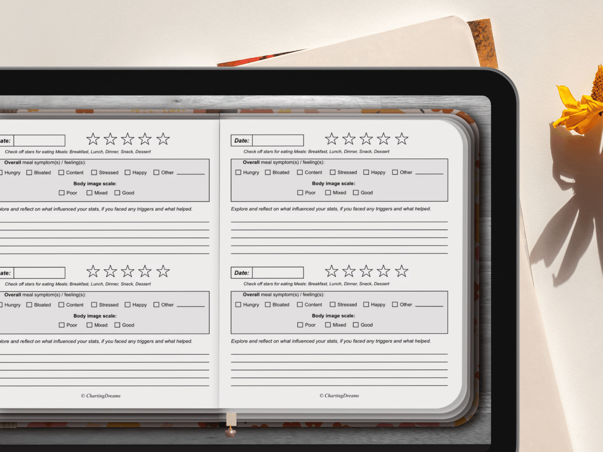 Body image journal workoutbook