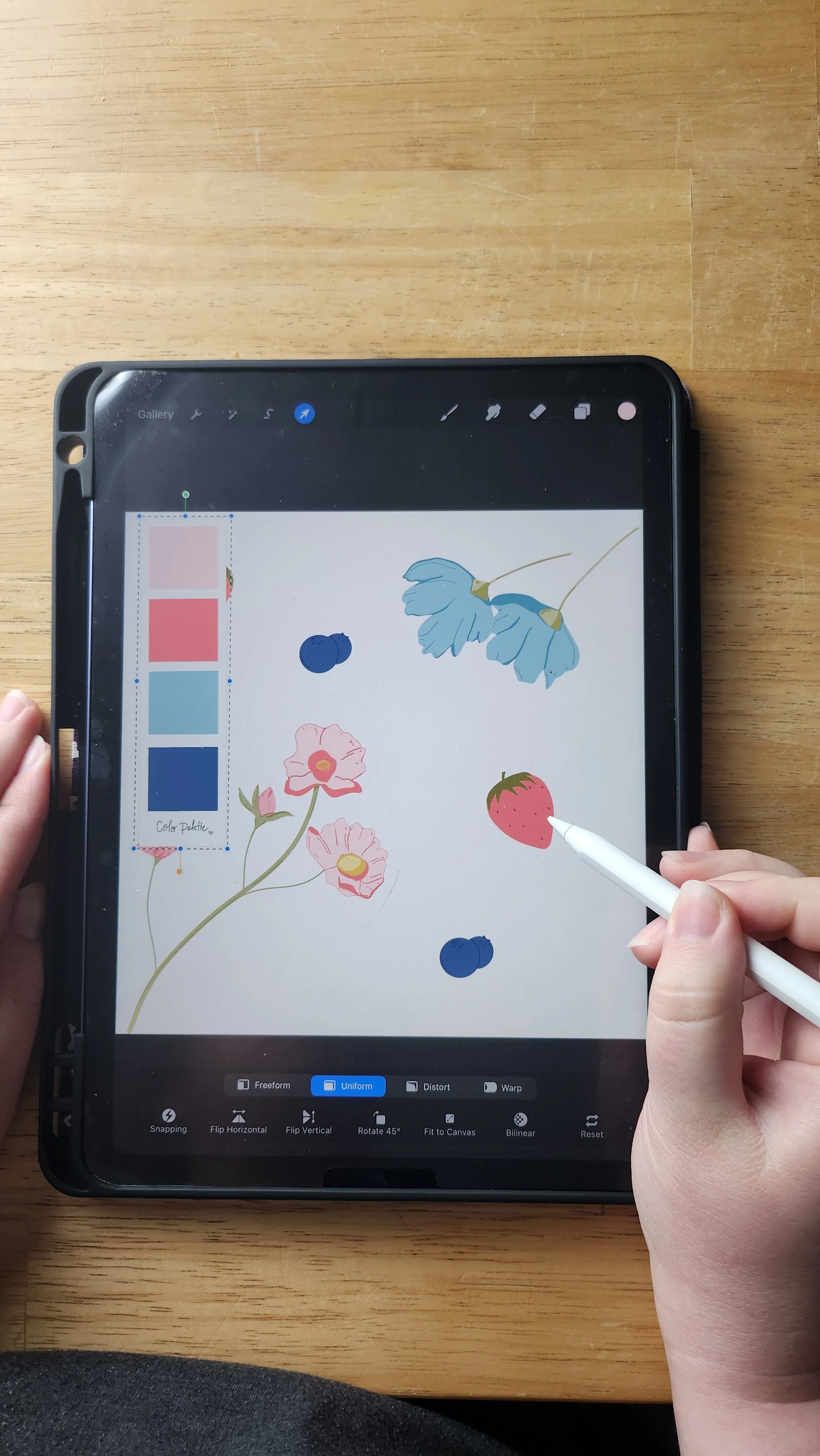 Digital drawing of strawberries, blueberries, and blue flowers on a tablet with color palette and drawing tools visible.