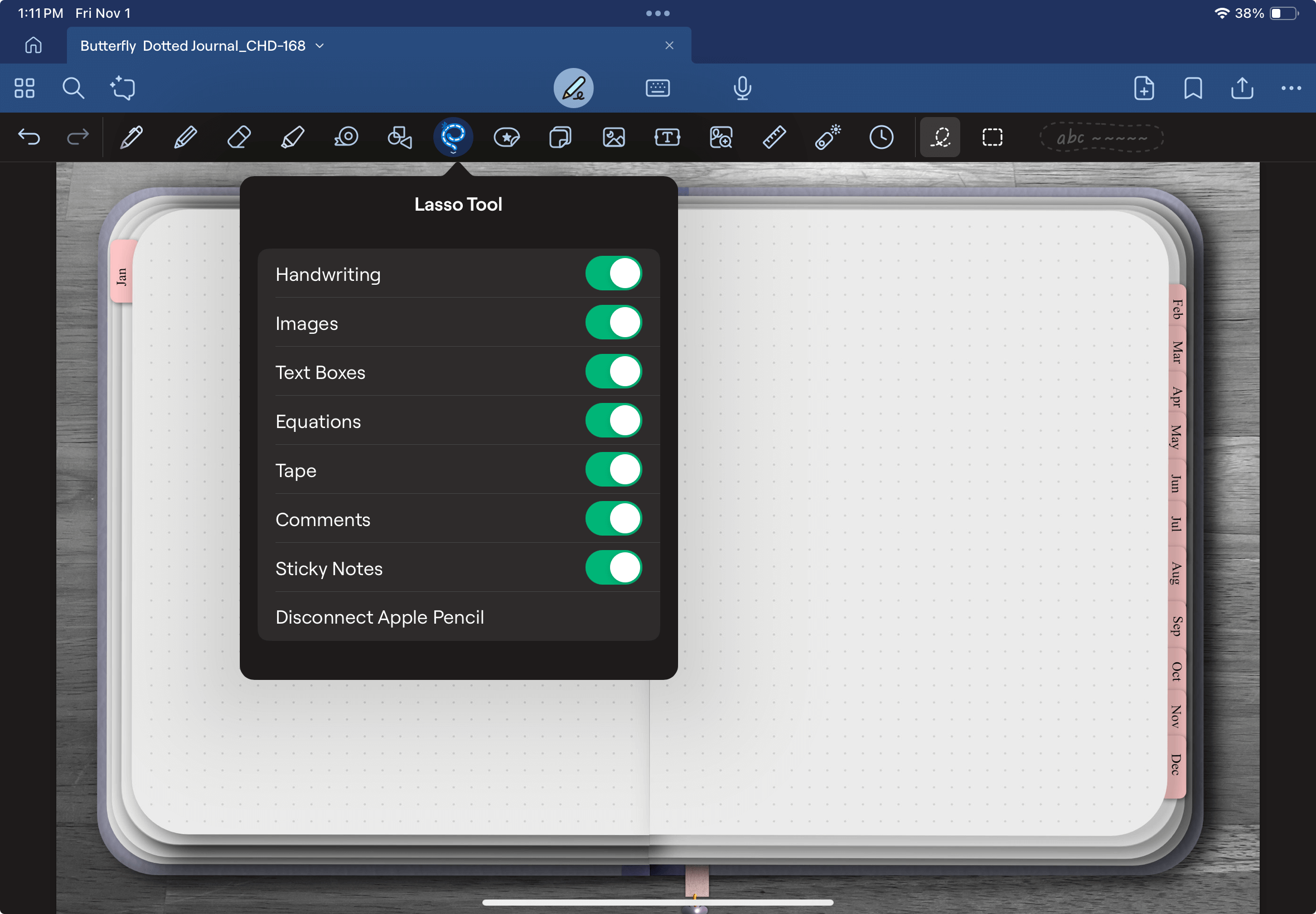 Lasso tool in Goodnotes, how to edit the tool settings