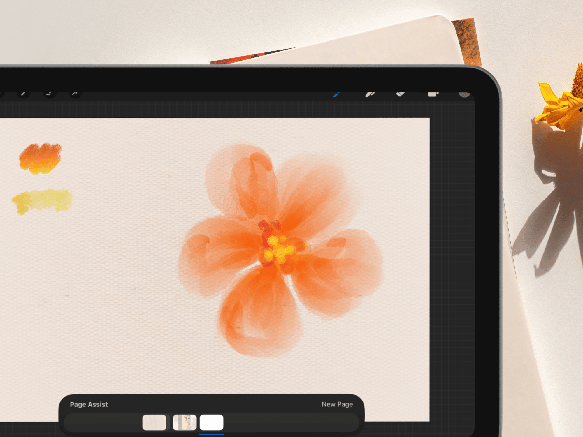 digital procreate sketchbook on iPad
