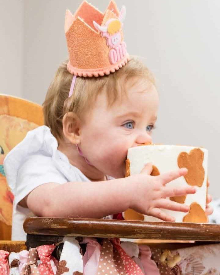 I got to make back to back cow smash cakes. Here's the first sweet one year old digging right in! Swipe to see the highland cow cupcakes to match 🐮