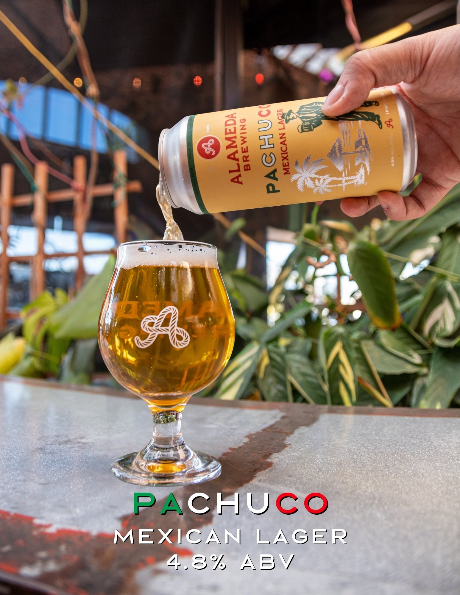 Pachuco Mexican Lager 4.8% ABV