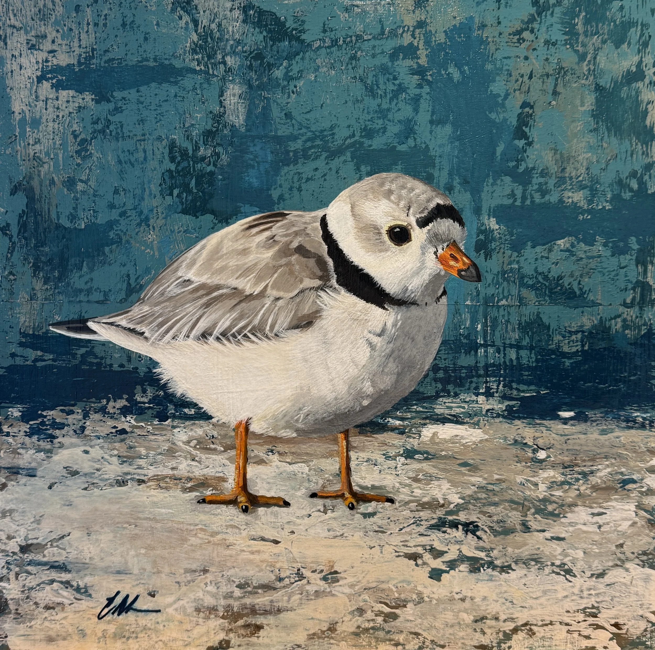 Brushstrokes of Conservation: Painting the Piping Plover