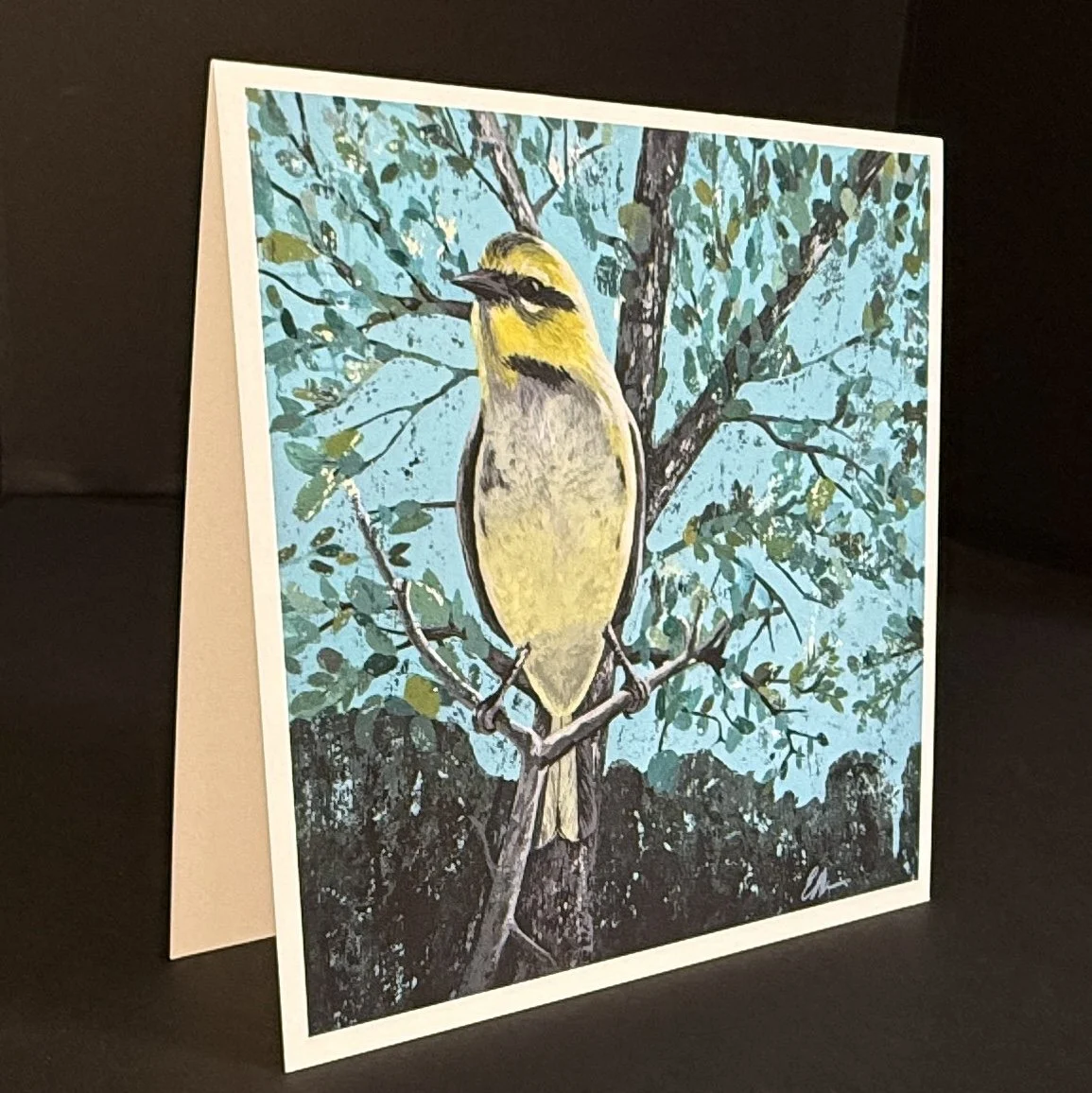 "Hill Country Observer" Greeting Cards