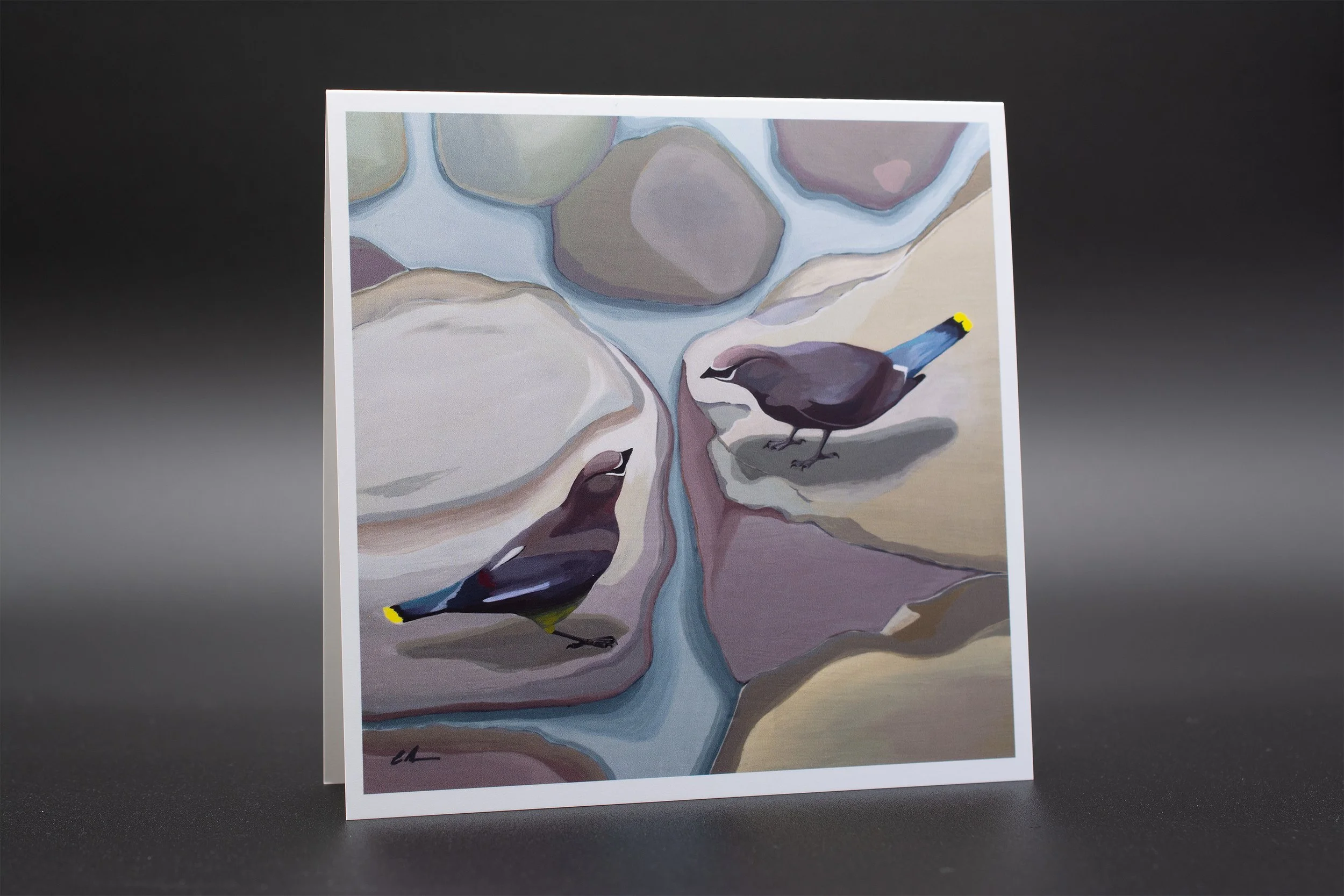 Quiet Confluence Greeting Cards