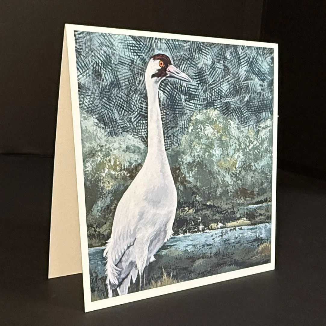 "Marchland Monarch" Greeting Cards