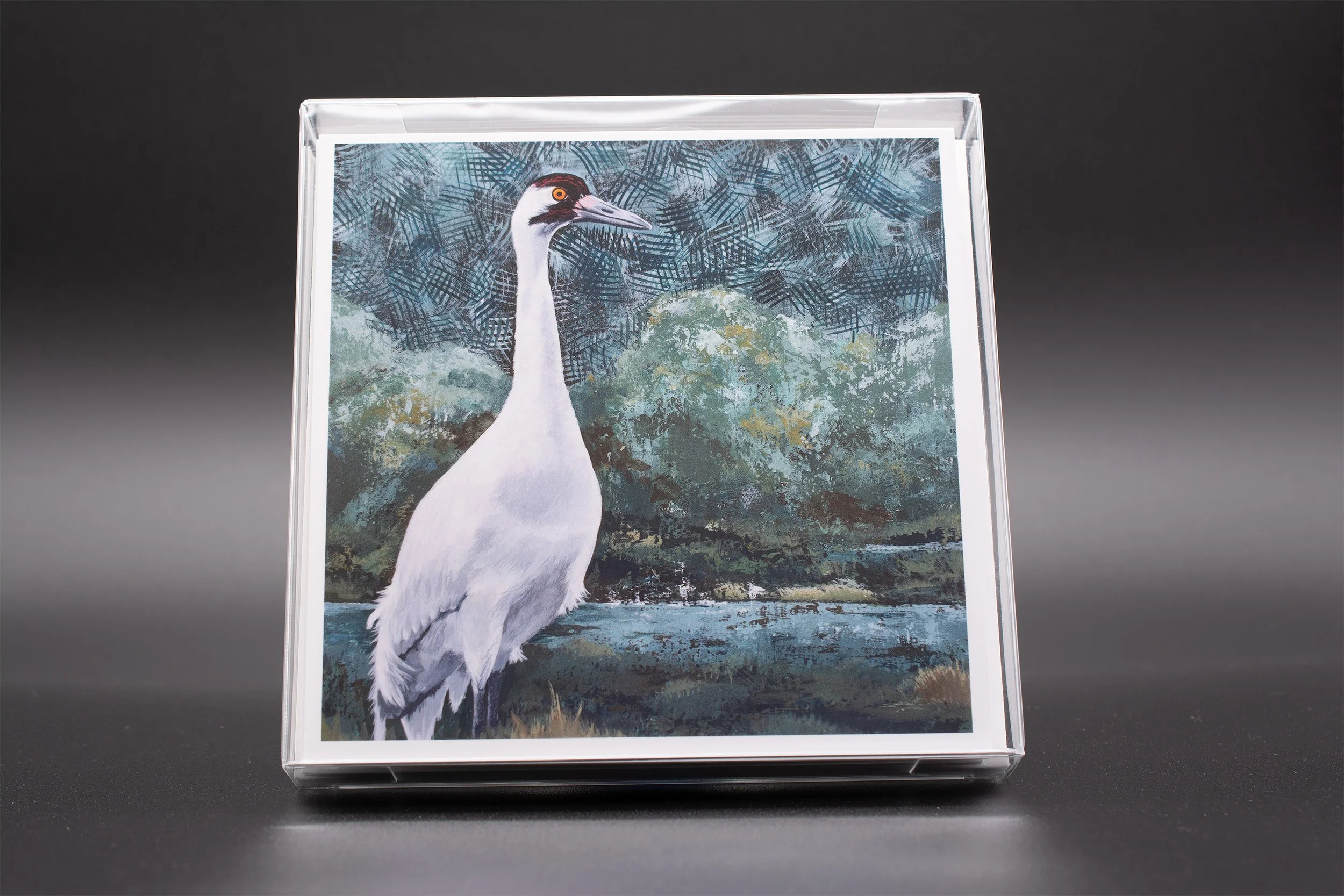 Marshland Monarch_boxed_Web.jpg