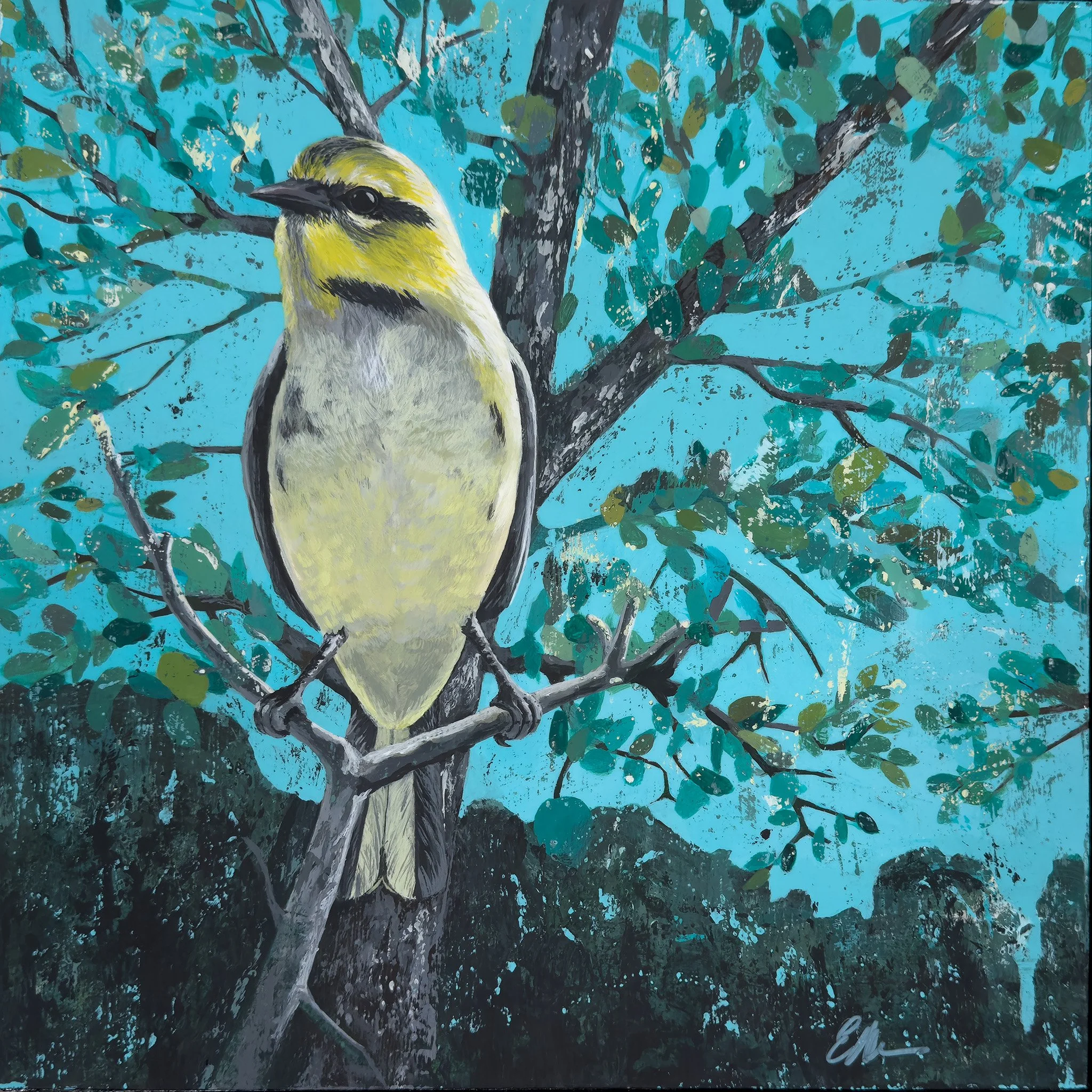 1025_Hill Country Observer_Allen_WEB_2048PX.jpg