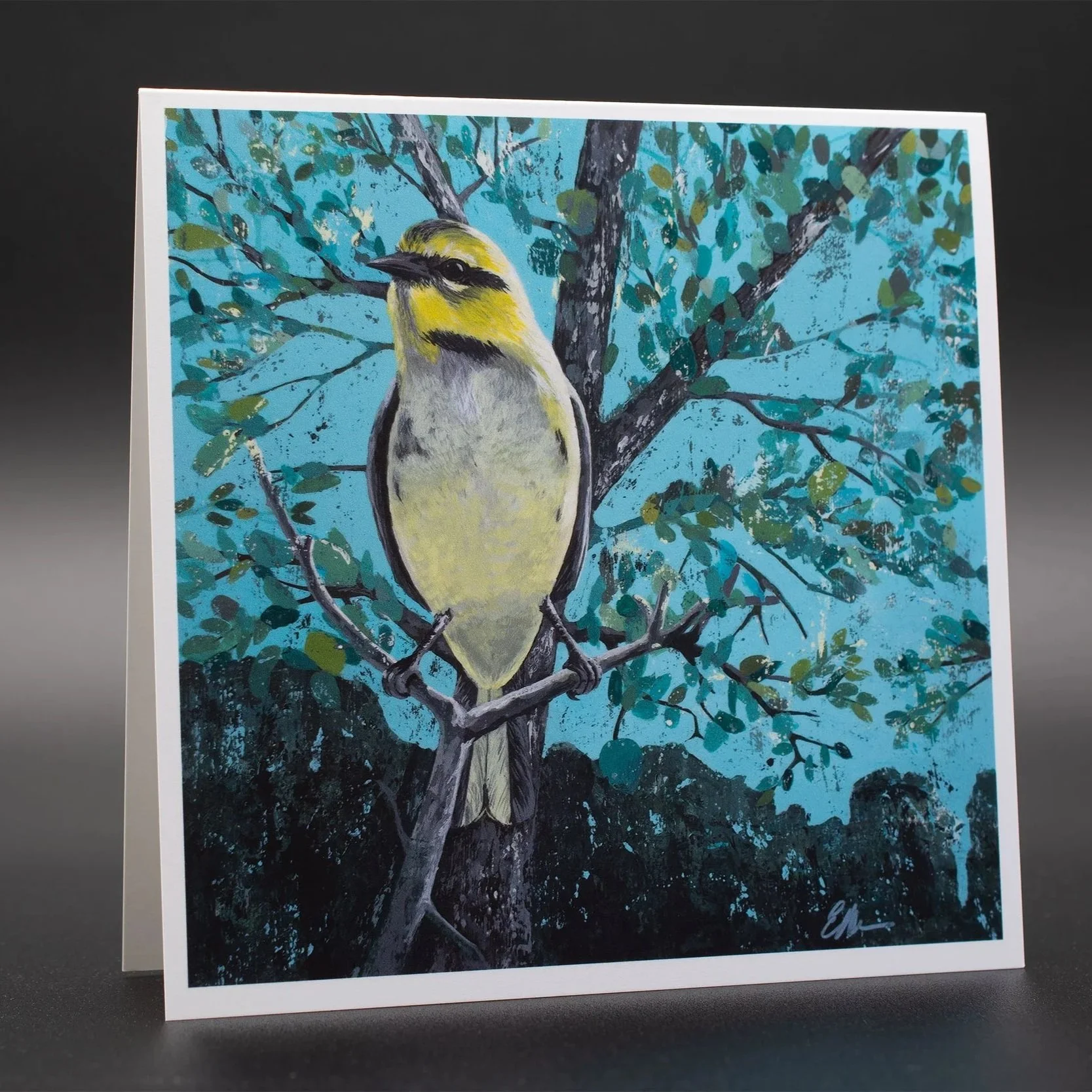 "Hill Country Observer" Greeting Cards