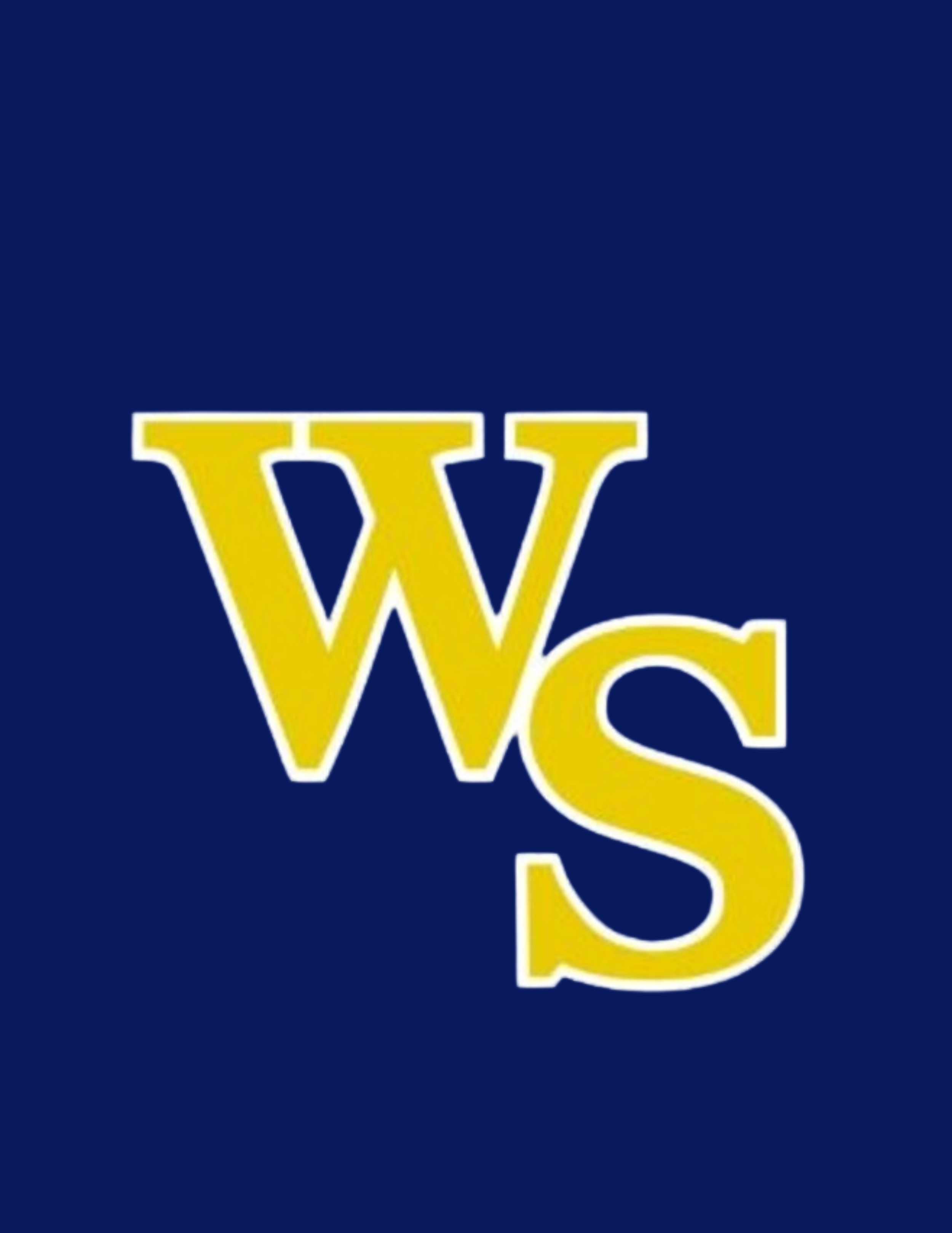 Logo with large yellow letters 'W' and 'S' on a dark blue background.