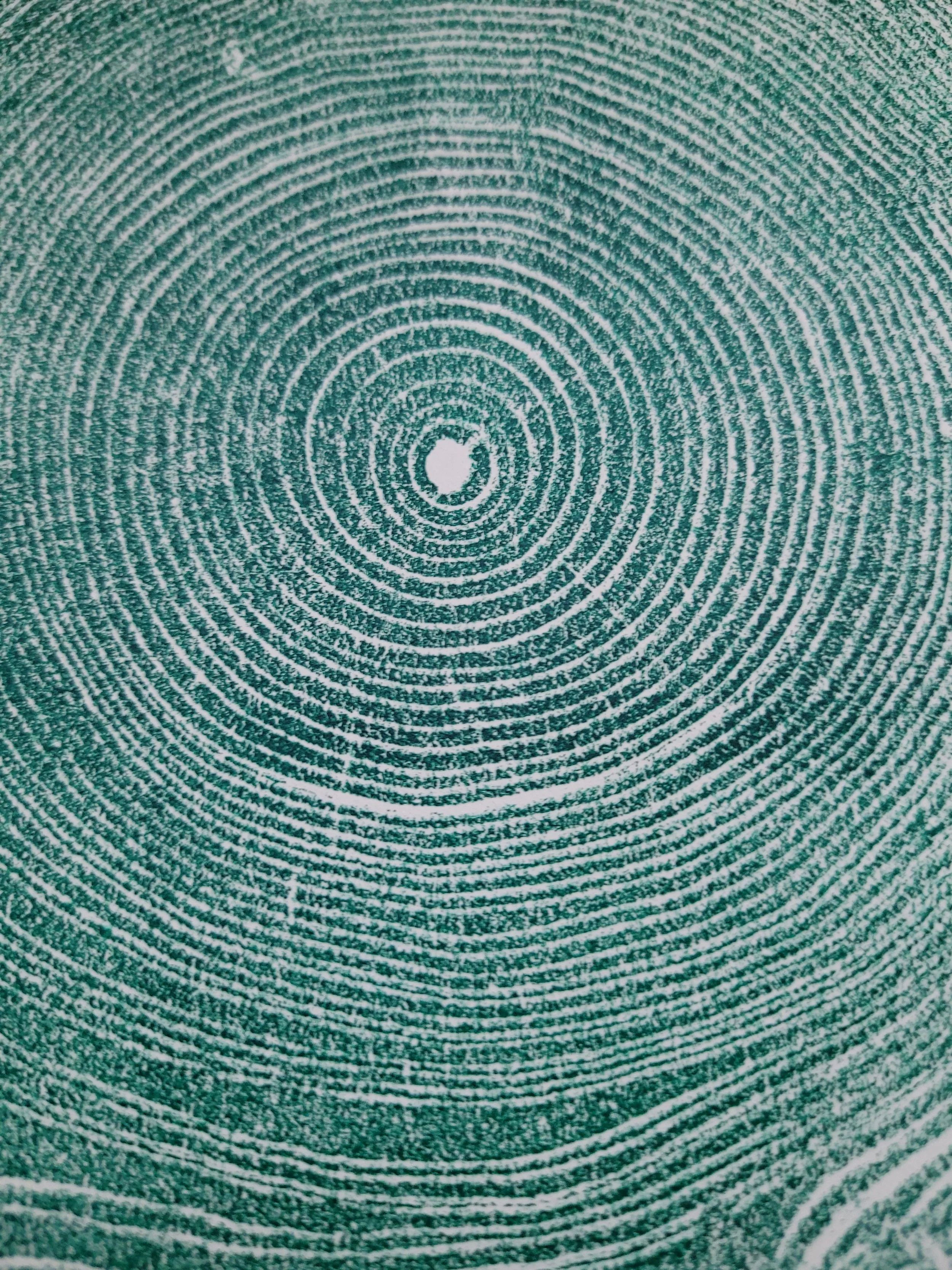 1000007670.jpg