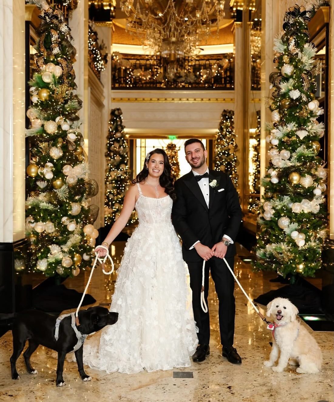 Ashlee &amp; Michael 🖤✨

A New Year&rsquo;s Eve love story at the iconic Shadowbrook at Shrewsbury. 

We loved bringing this suite to life for such an elegant celebration and an even more beautiful couple. A black enclosure, golden details, and a cu