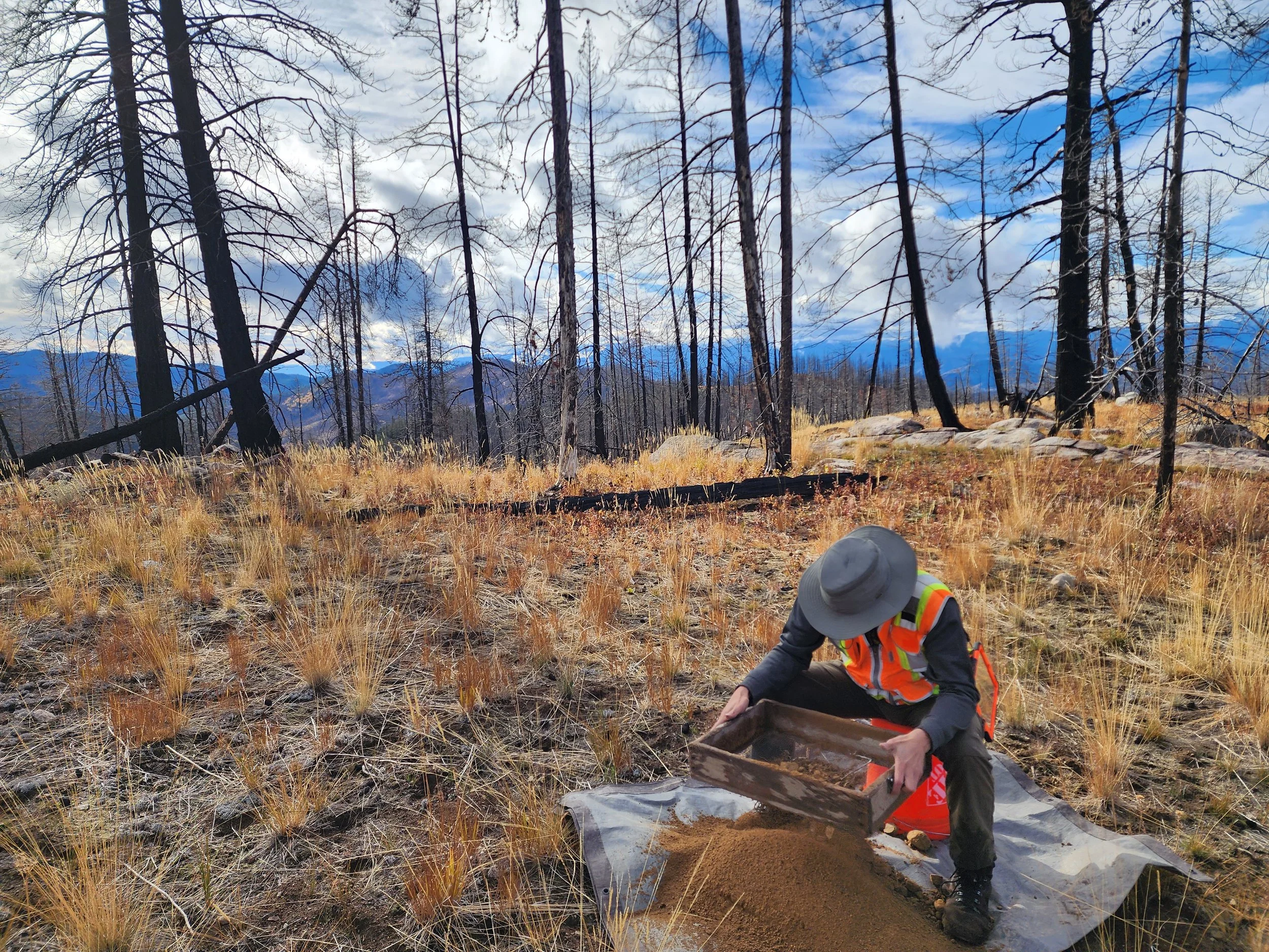 24-0012 - Just doing some work.jpg