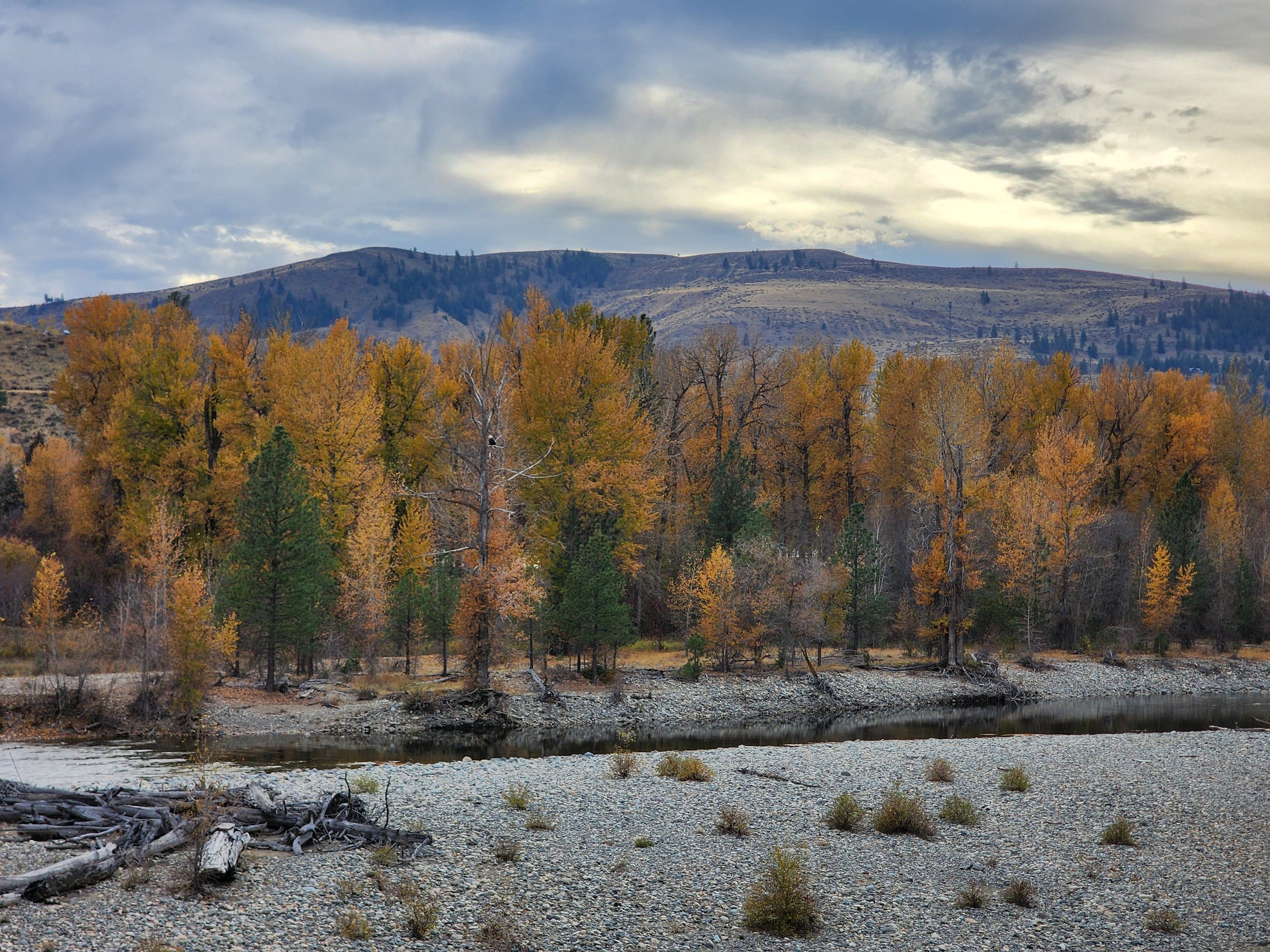 24-0012 - Just a river.jpg