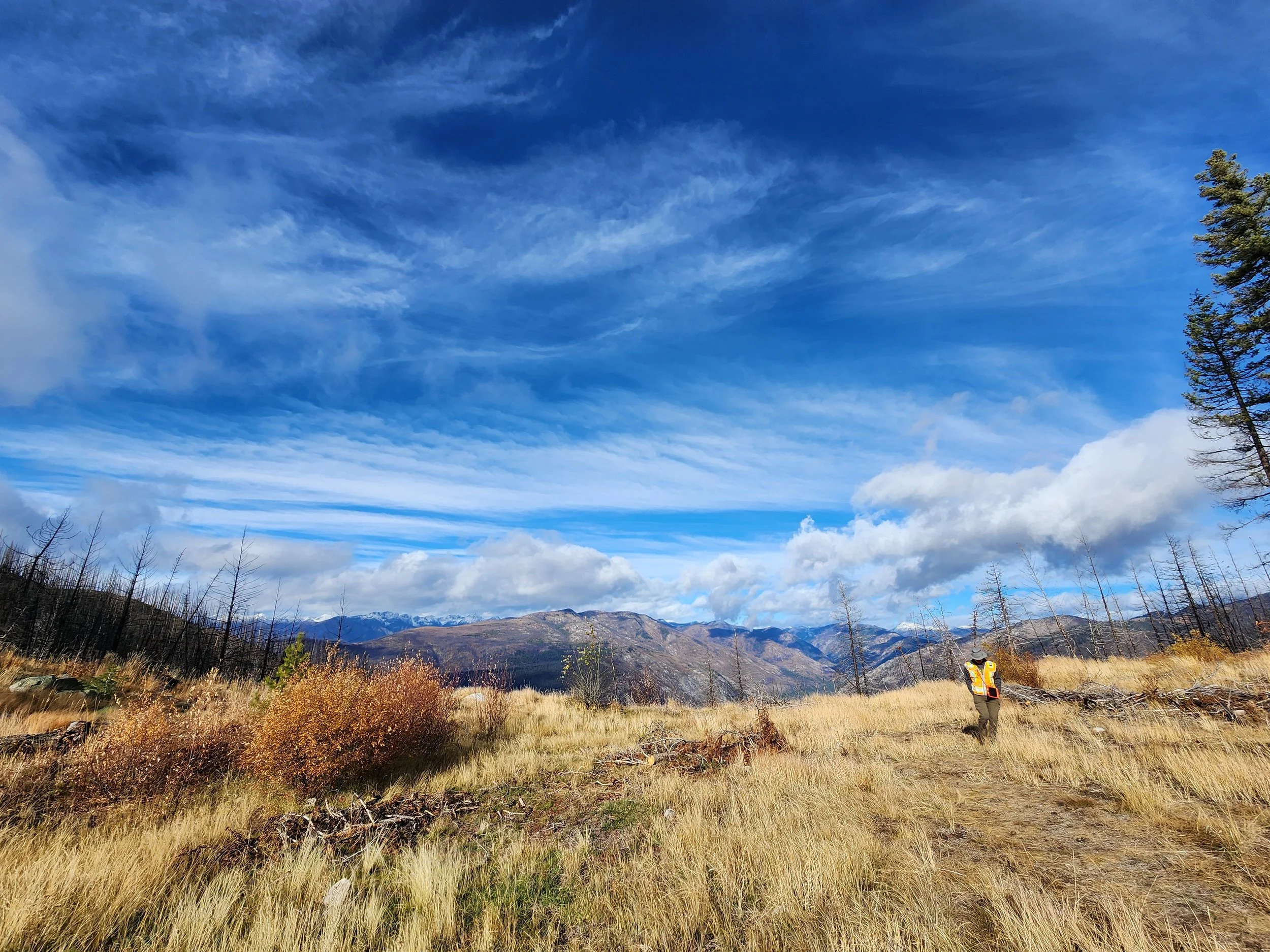 24-0012 - Surveying with a View.jpg