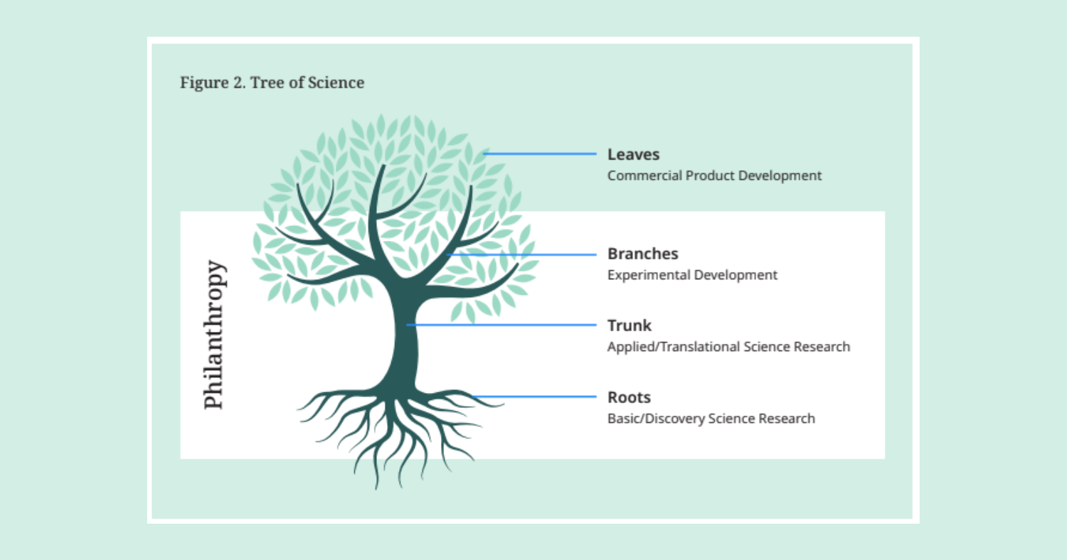An illustration of a tree with visible roots; aspects of the tree are likened to aspects of science philanthropy