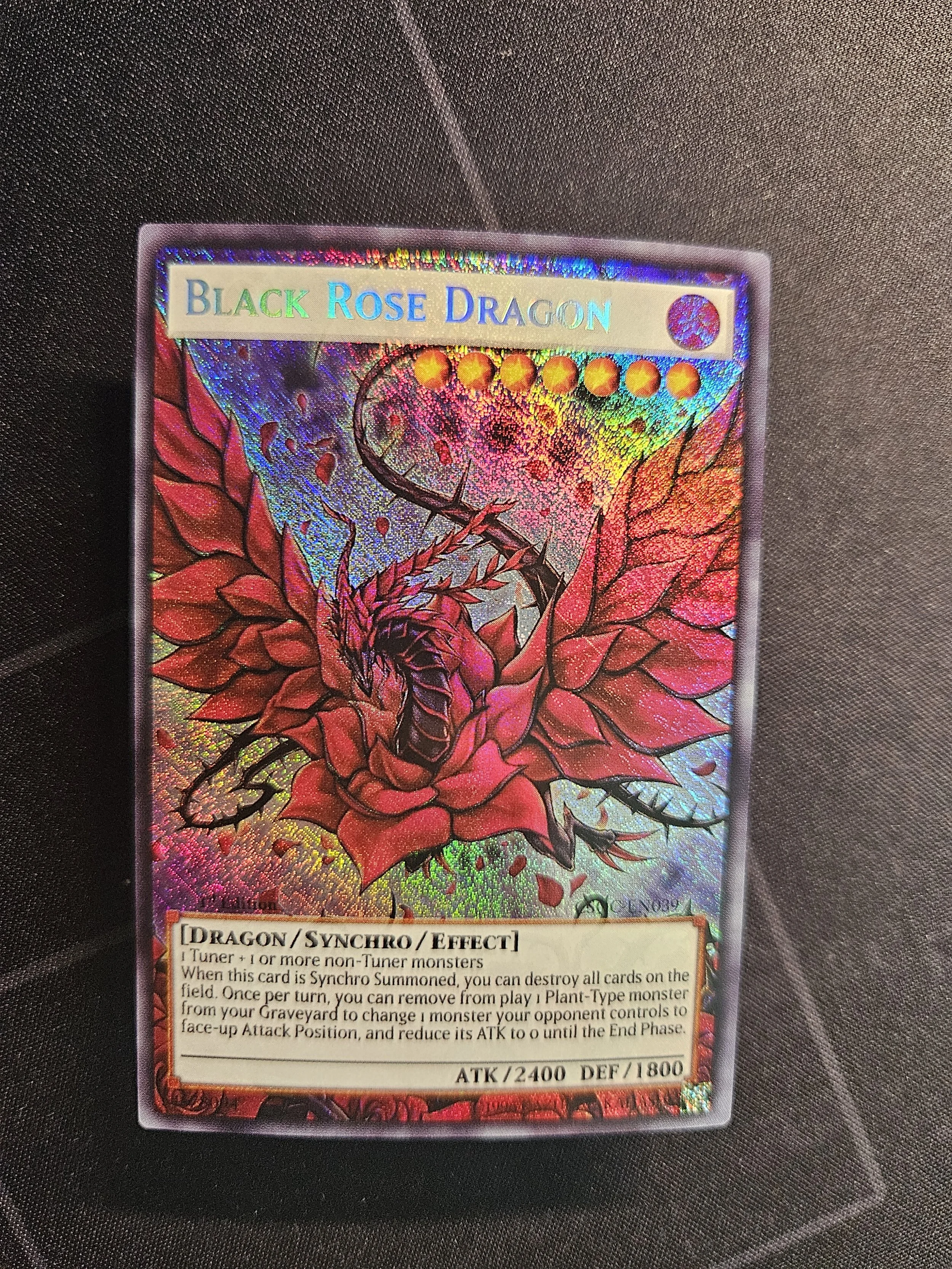 Black Rose Dragon (Extended Art) (1).jpg
