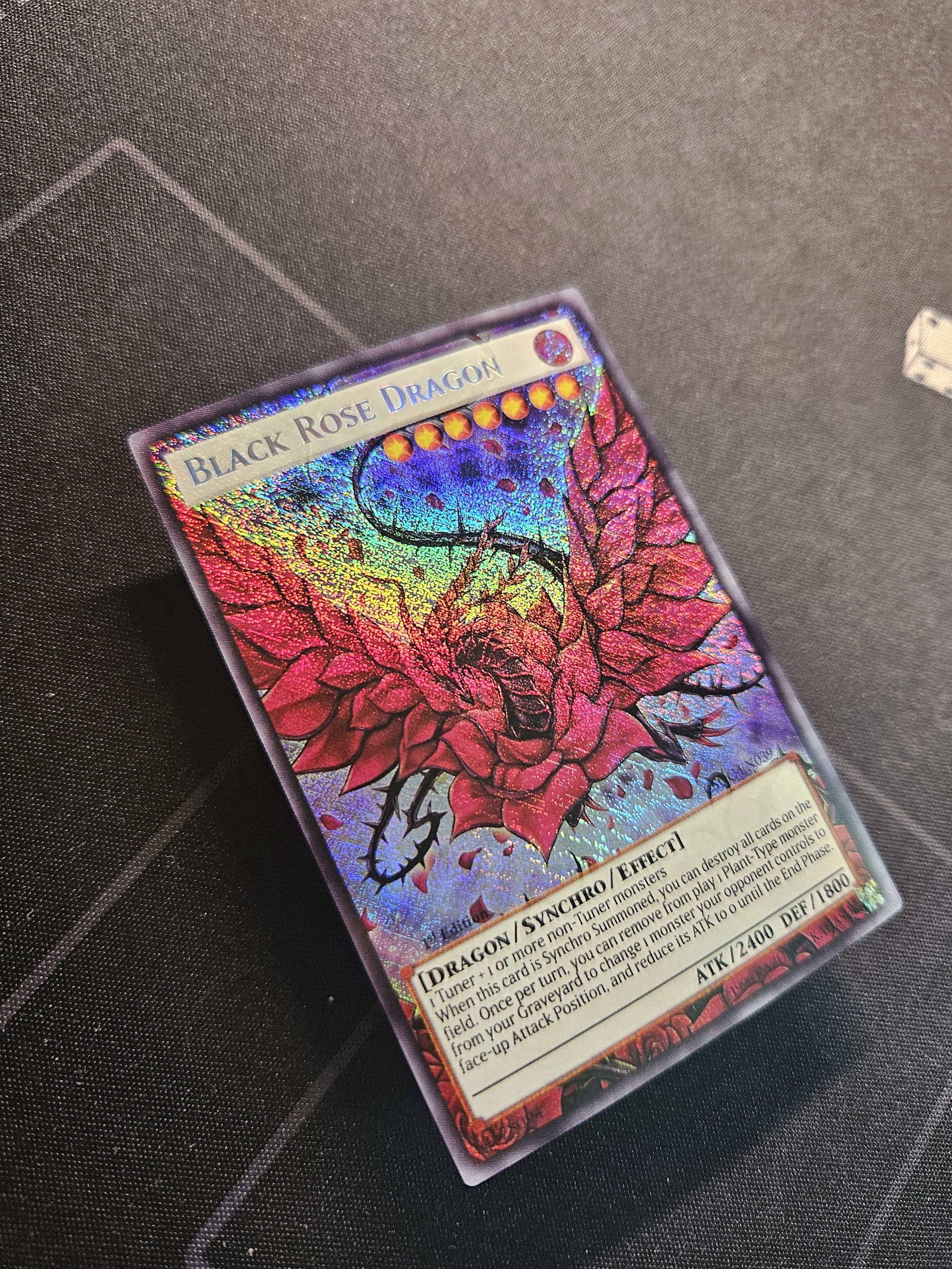 Black Rose Dragon (Extended Art) (2).jpg