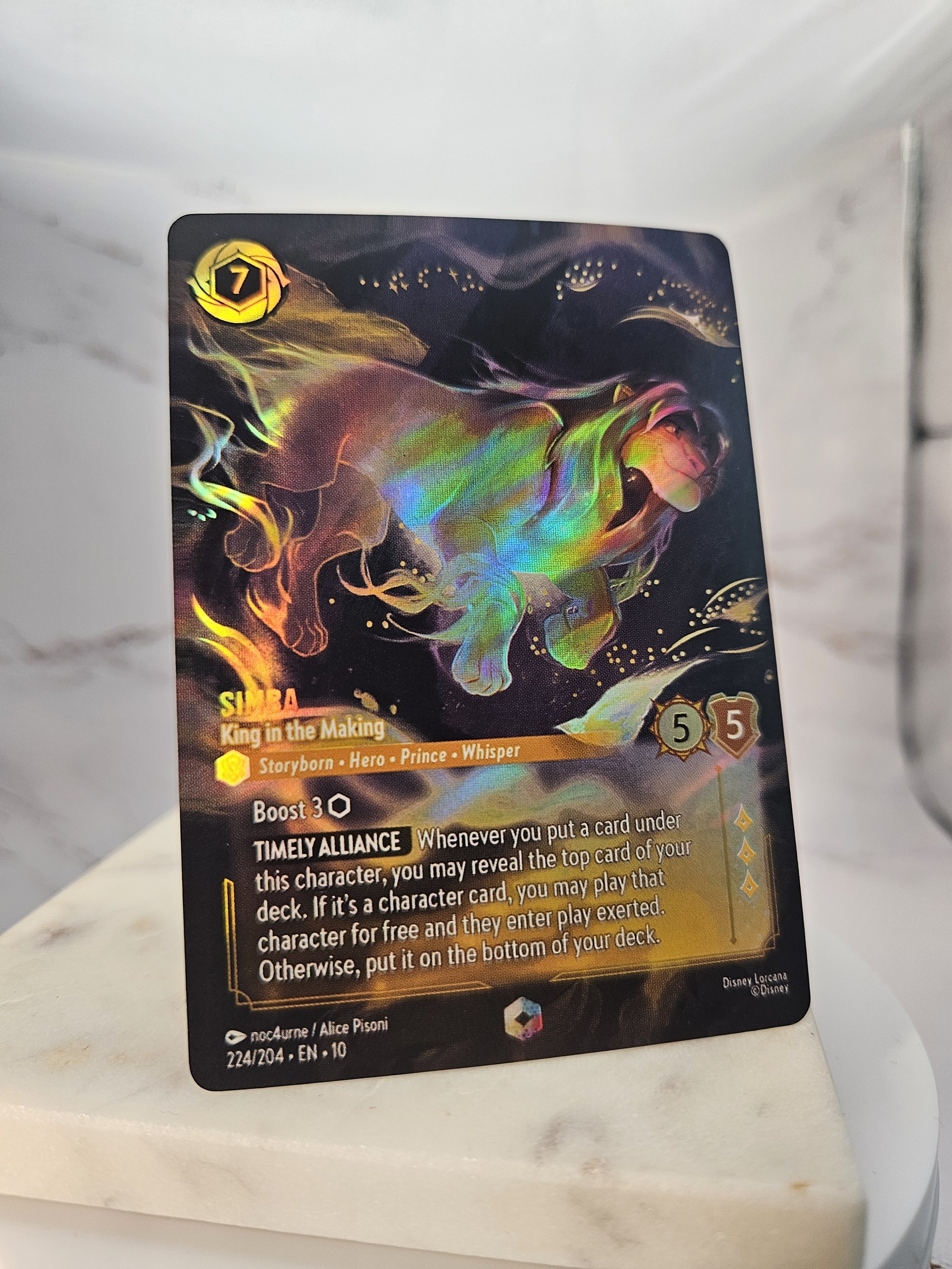 224 Simba - King in the Making (2).jpg