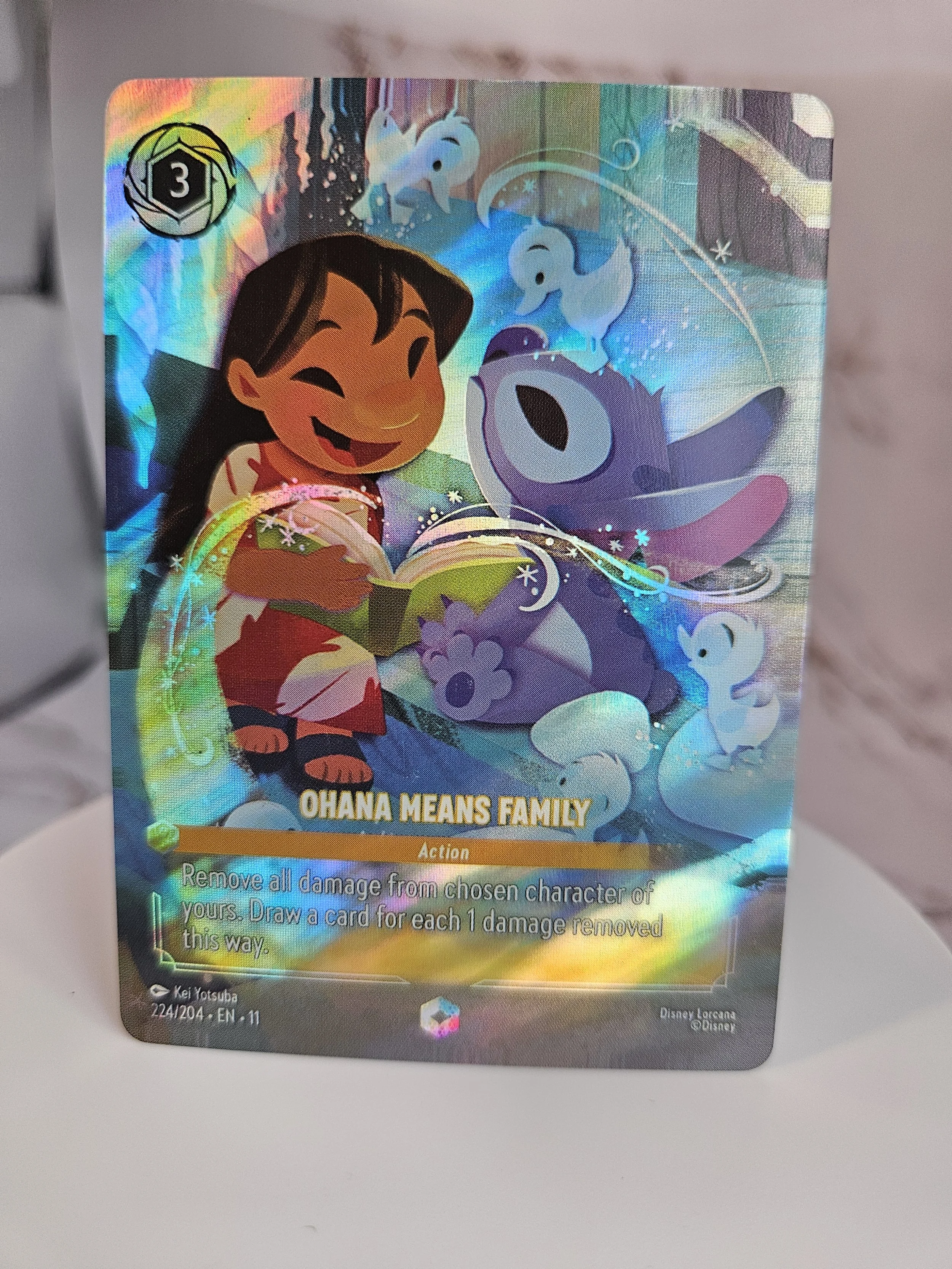 Ohana Means Family (224/204)