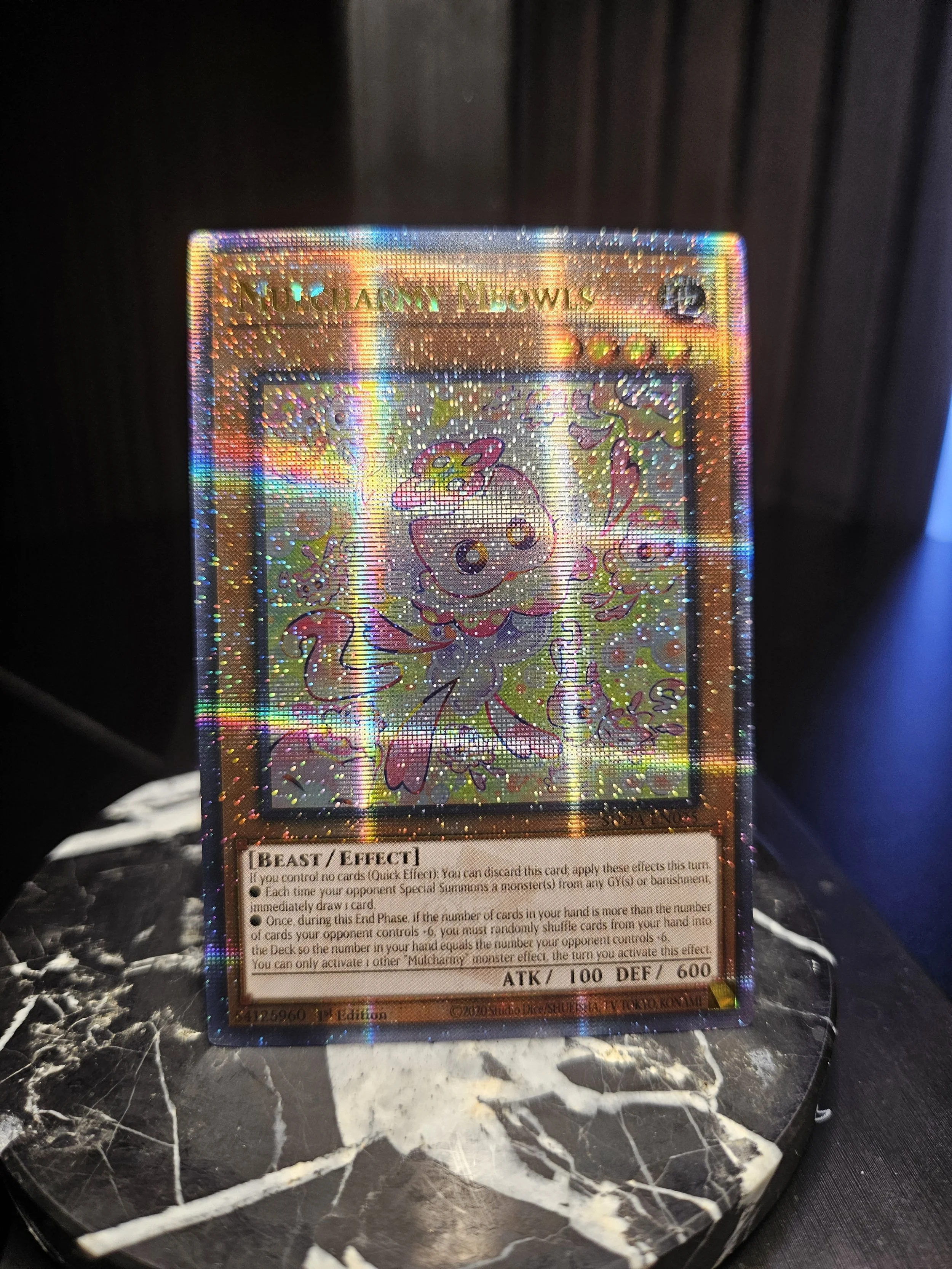 Mulcharmy Meowls - QCSR (2).jpg