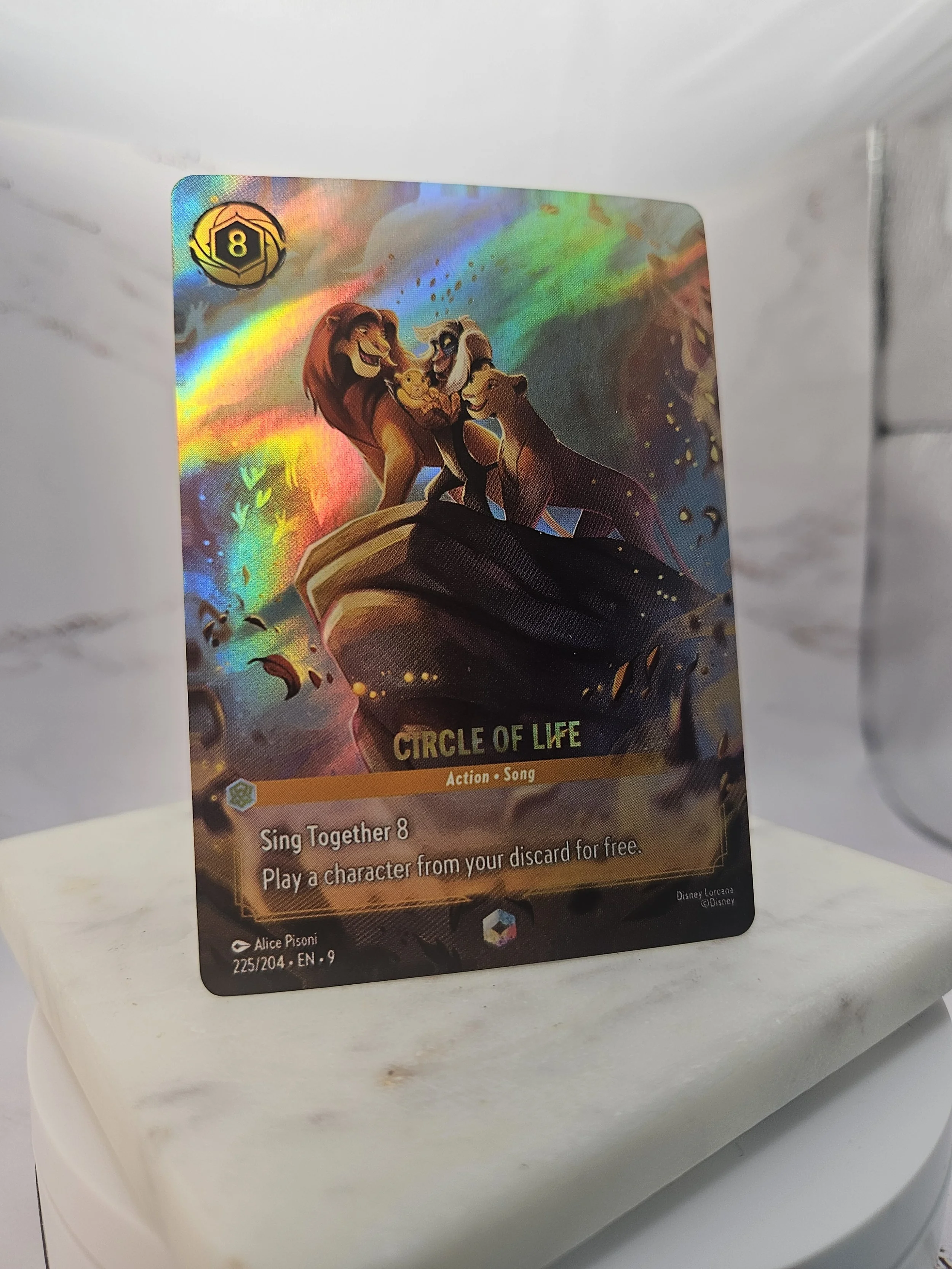 225 Circle of Life (2).jpg