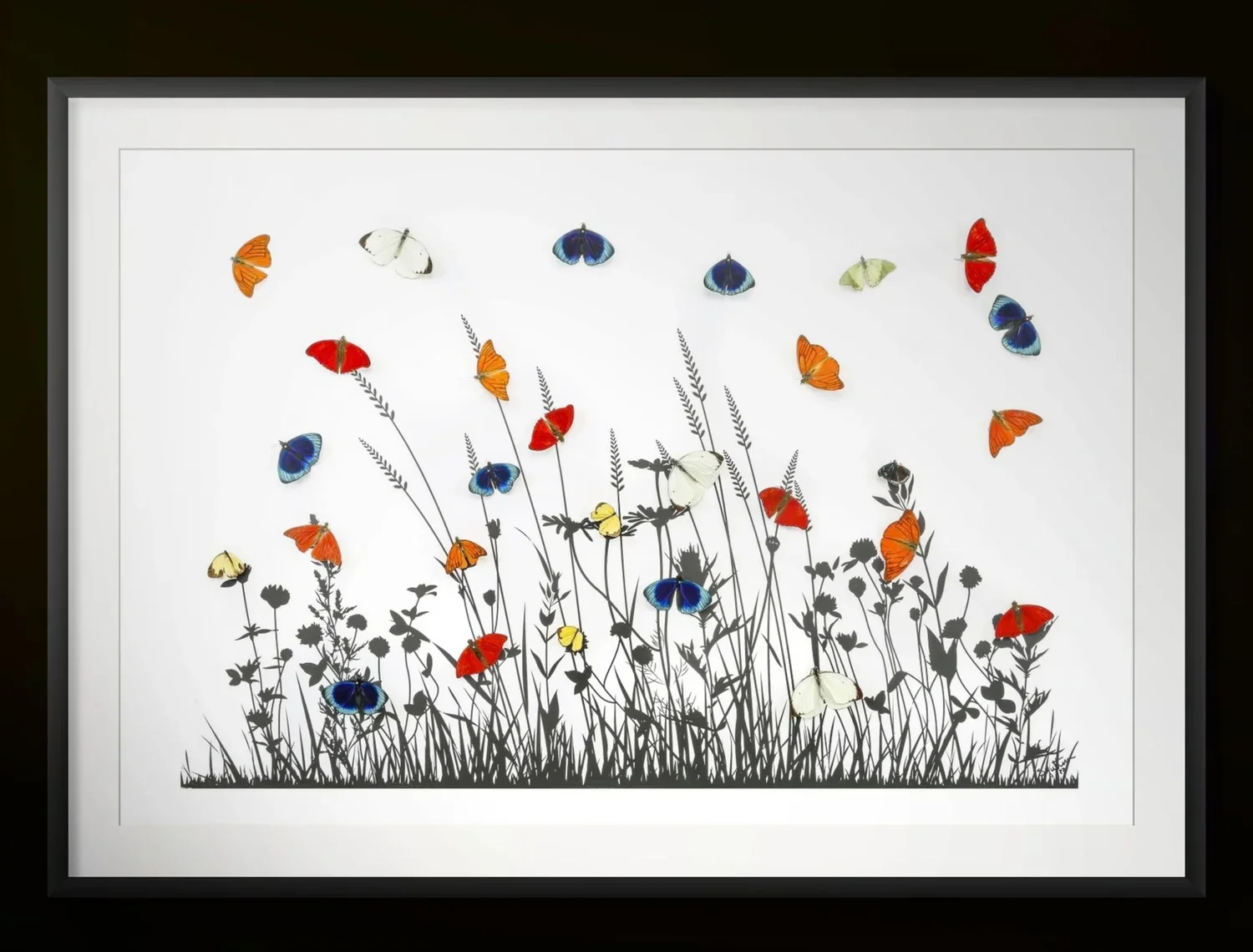 field+of+dreams-custom.webp