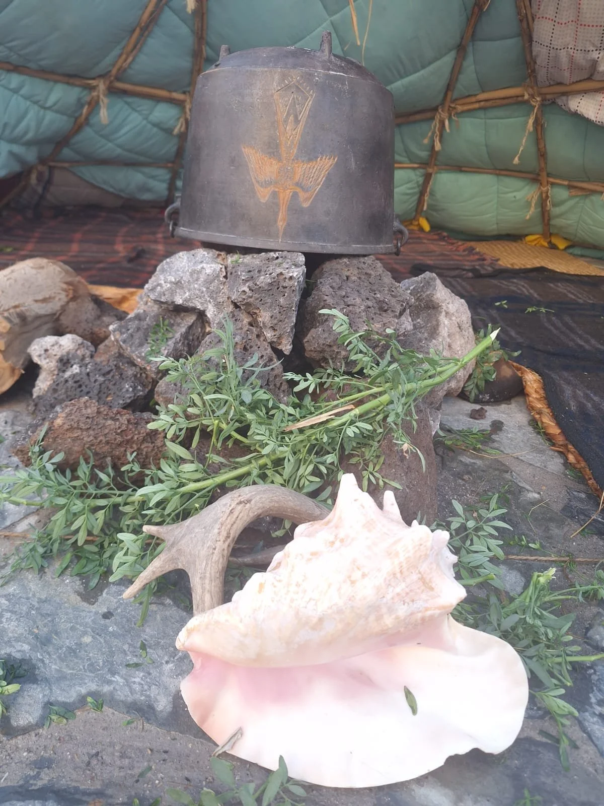 WhatsApp Image 2025-11-27 at 12.52.08 PM.jpeg