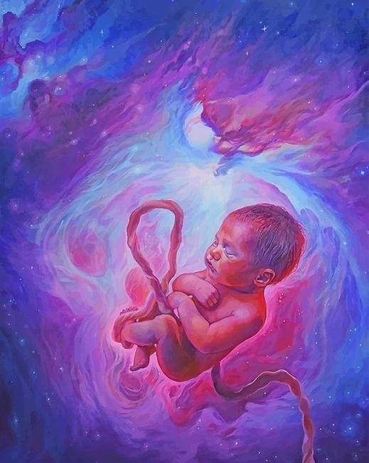 galaxy-embryo-paint-by-numbers.jpg