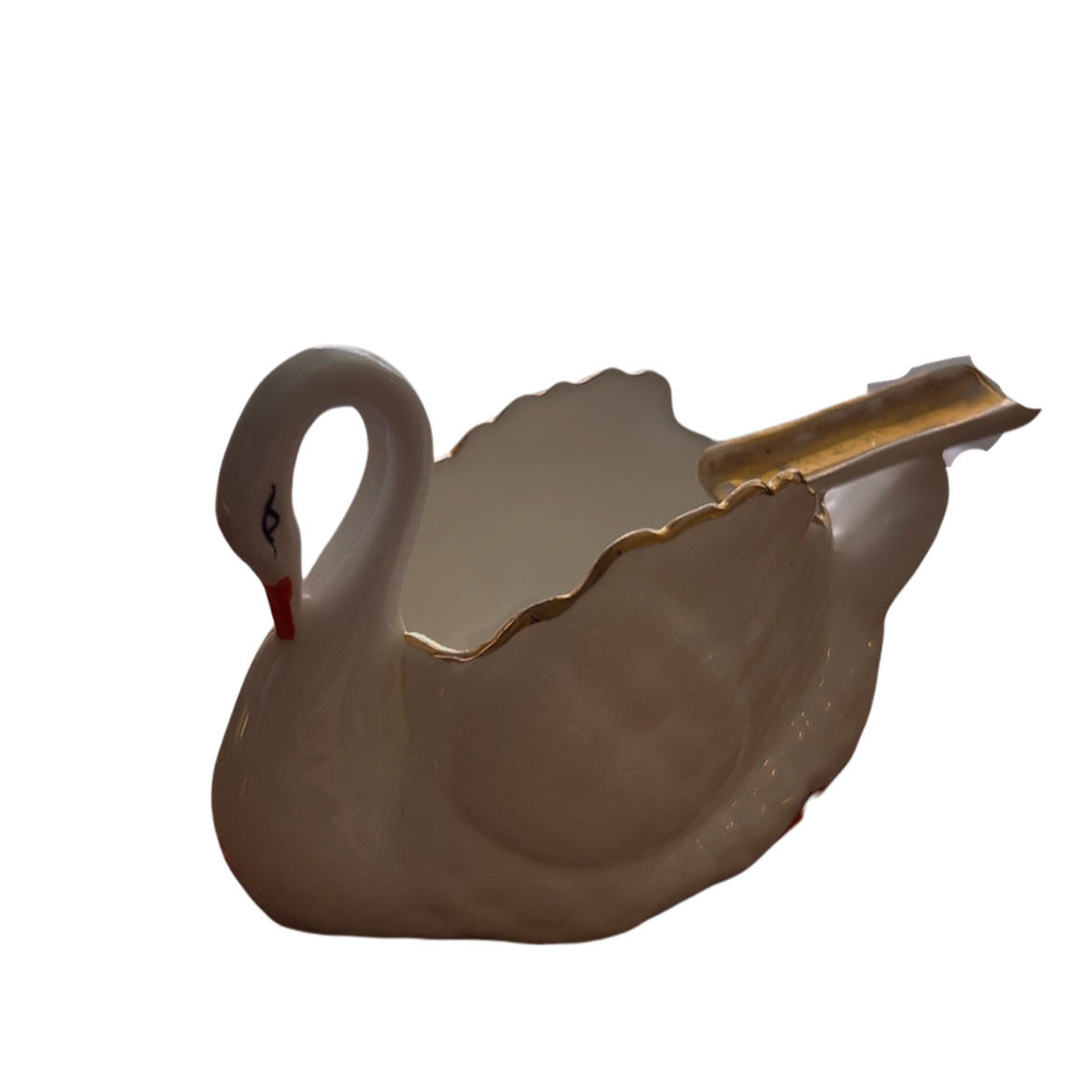 Photoroom_20261004_131324.png