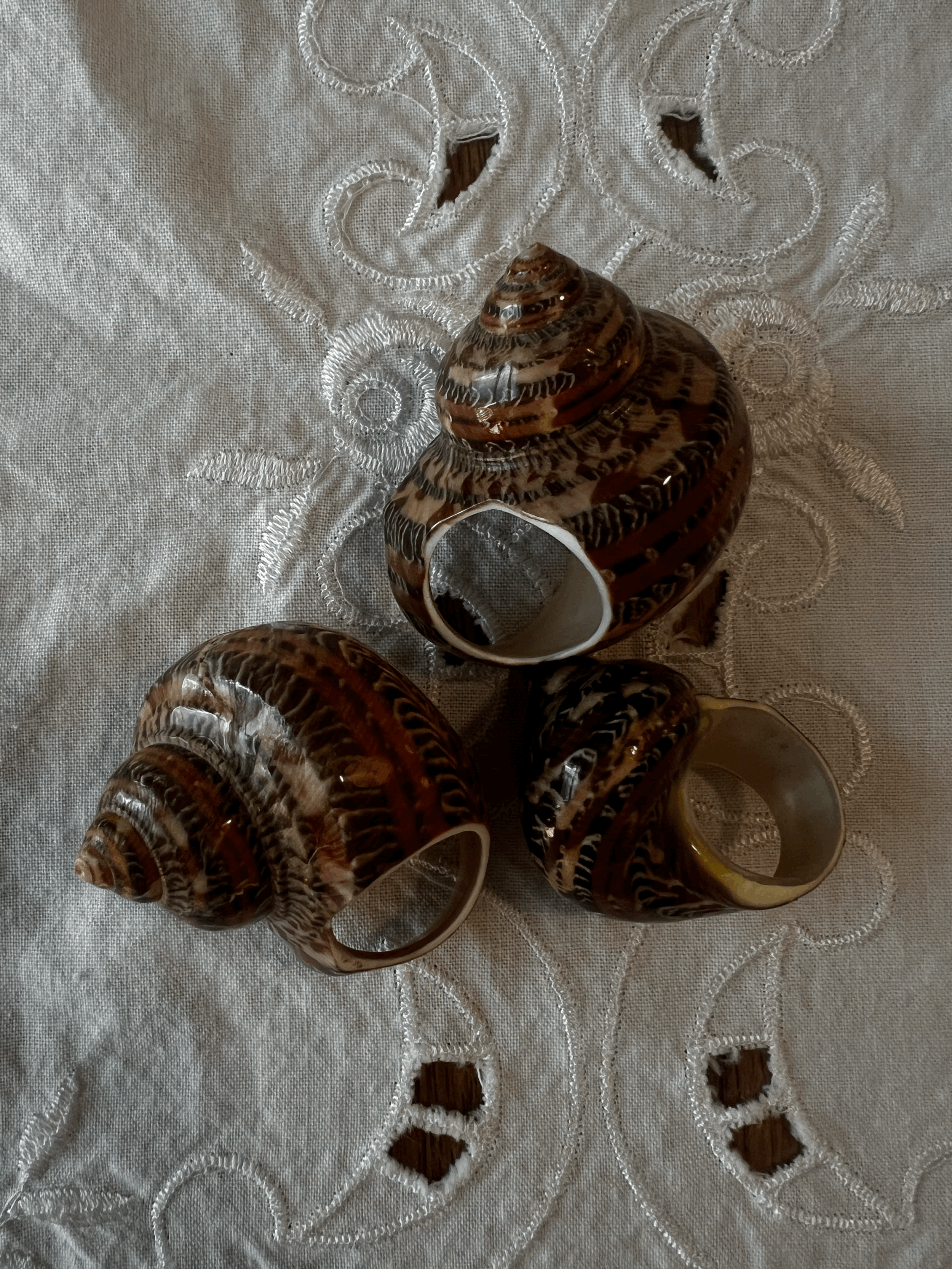 Natural Shell Ring, Light Brown