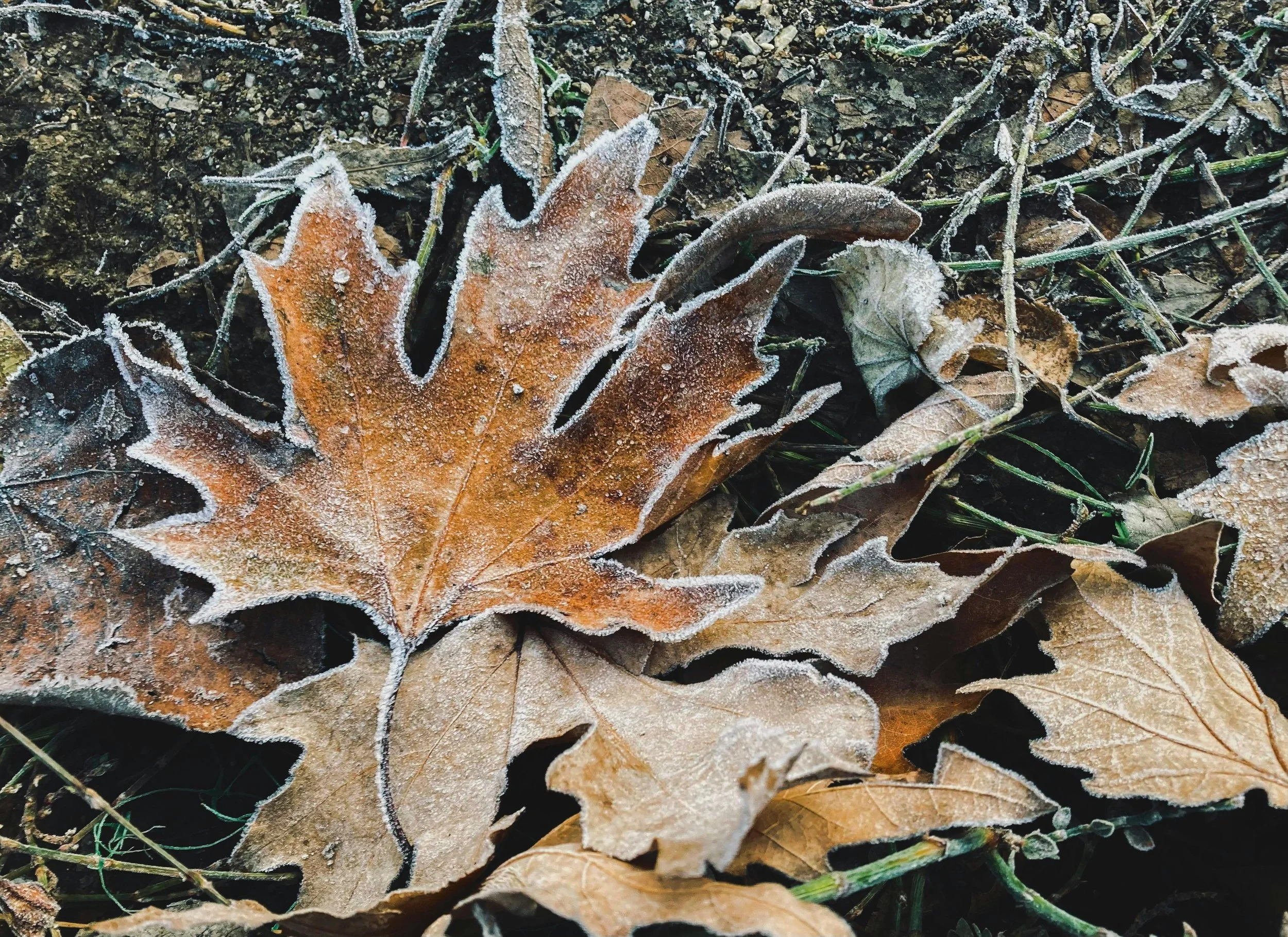Winter Maintenance Tips