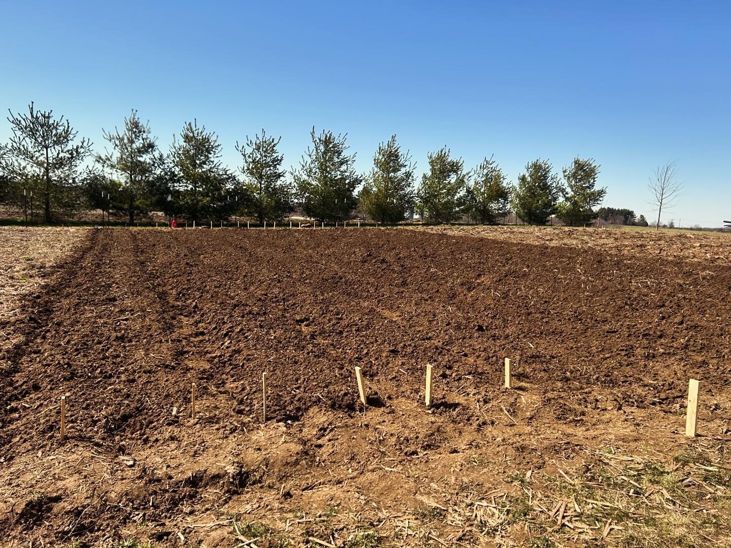Day one of getting the soil ready. One bed finished with 10 rows included.
