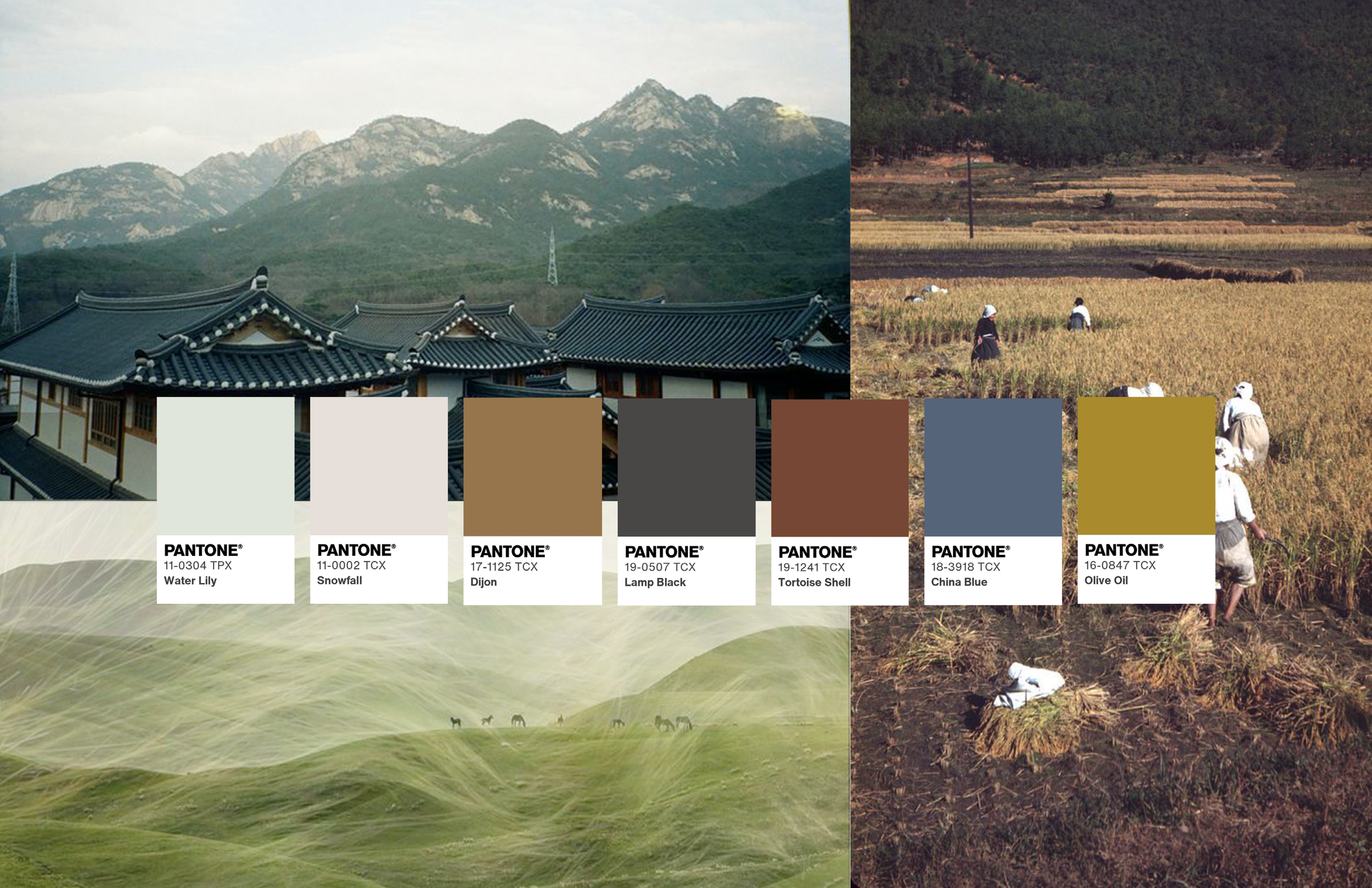 amanda_arnson_FASH324Final_letterneversent (1)6.png