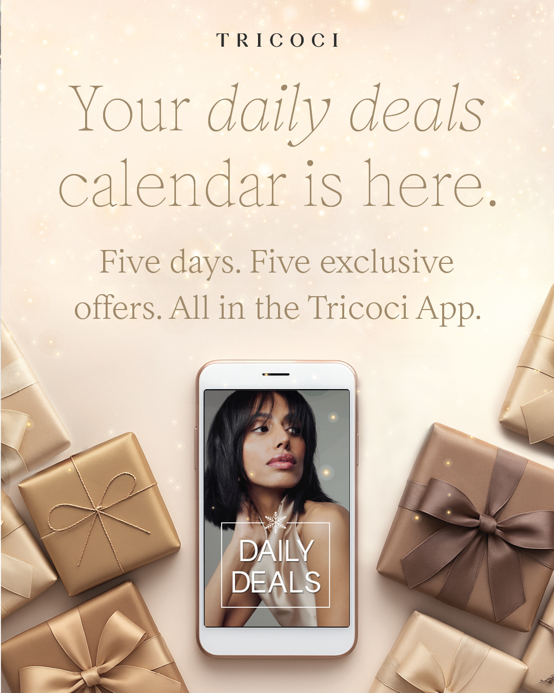 Holiday App Download Campaign Case Study