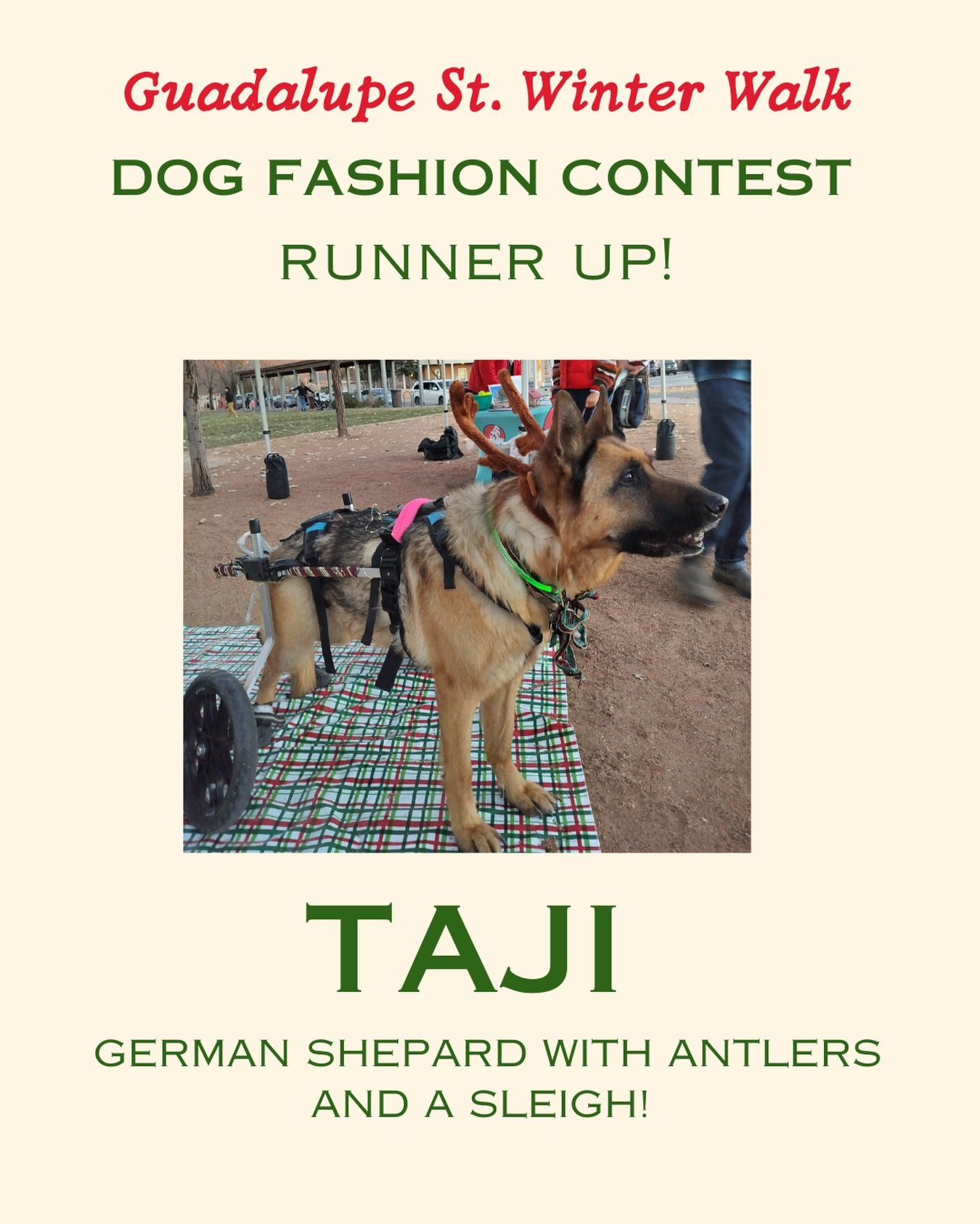 Coming in second place is sweet Taji! Congratulations to this good boy from Compton who loves a good party🤩 and to his owner Dominique! Thank you for getting dressed for the occasion, Taji. We 🫶 you!