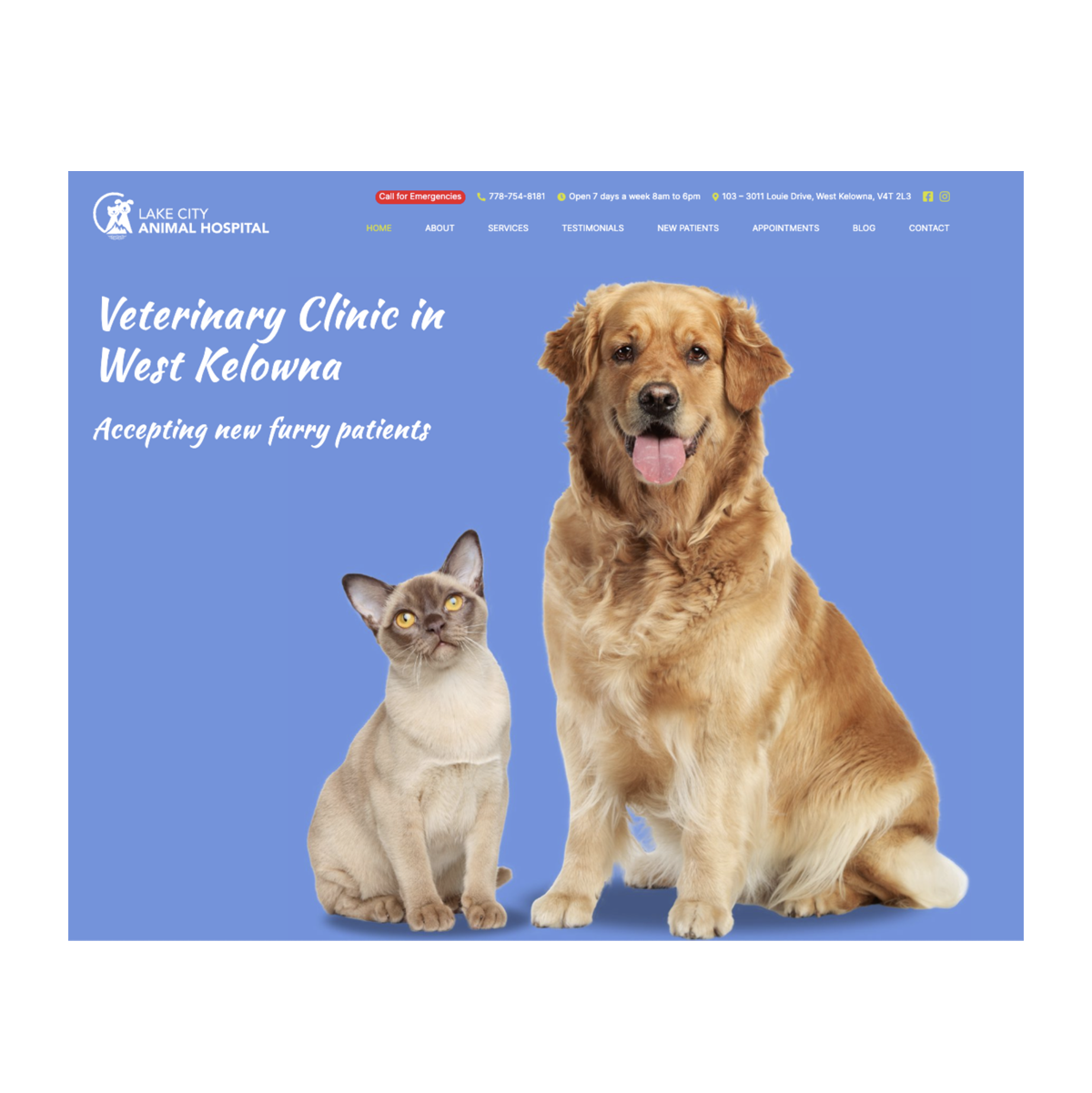 Lake City Animal Hospital
