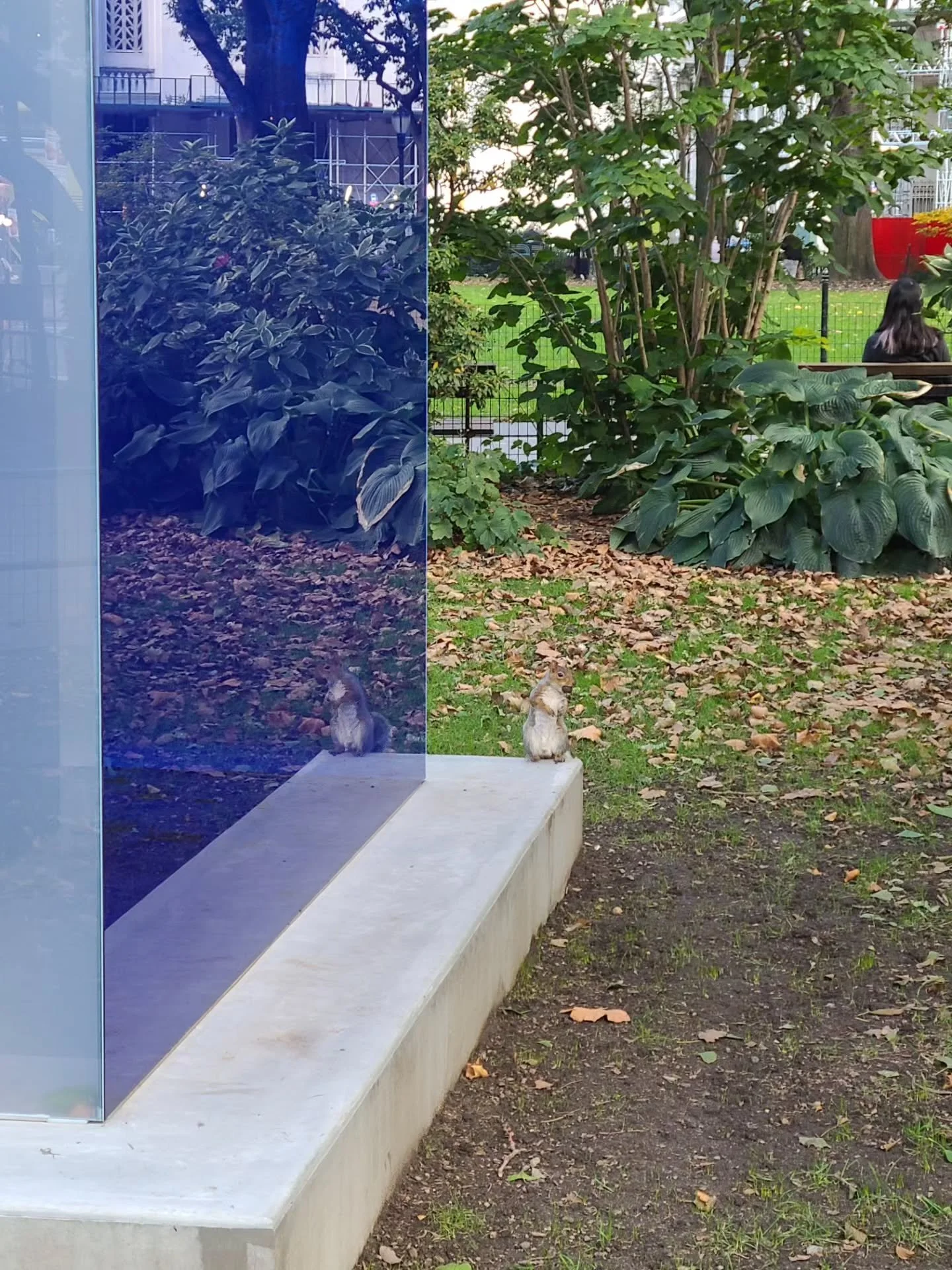 NoMad Photo Walk: Larry Bell in Madison Square, Met Life Building framed by Saint-Gaudens's Admiral Farragut and Risha Gorig sculpture, Memorial to Victims of the Injustice of the Holocaust by Harriet Feigenbaum on the side of the Appellate Courthous