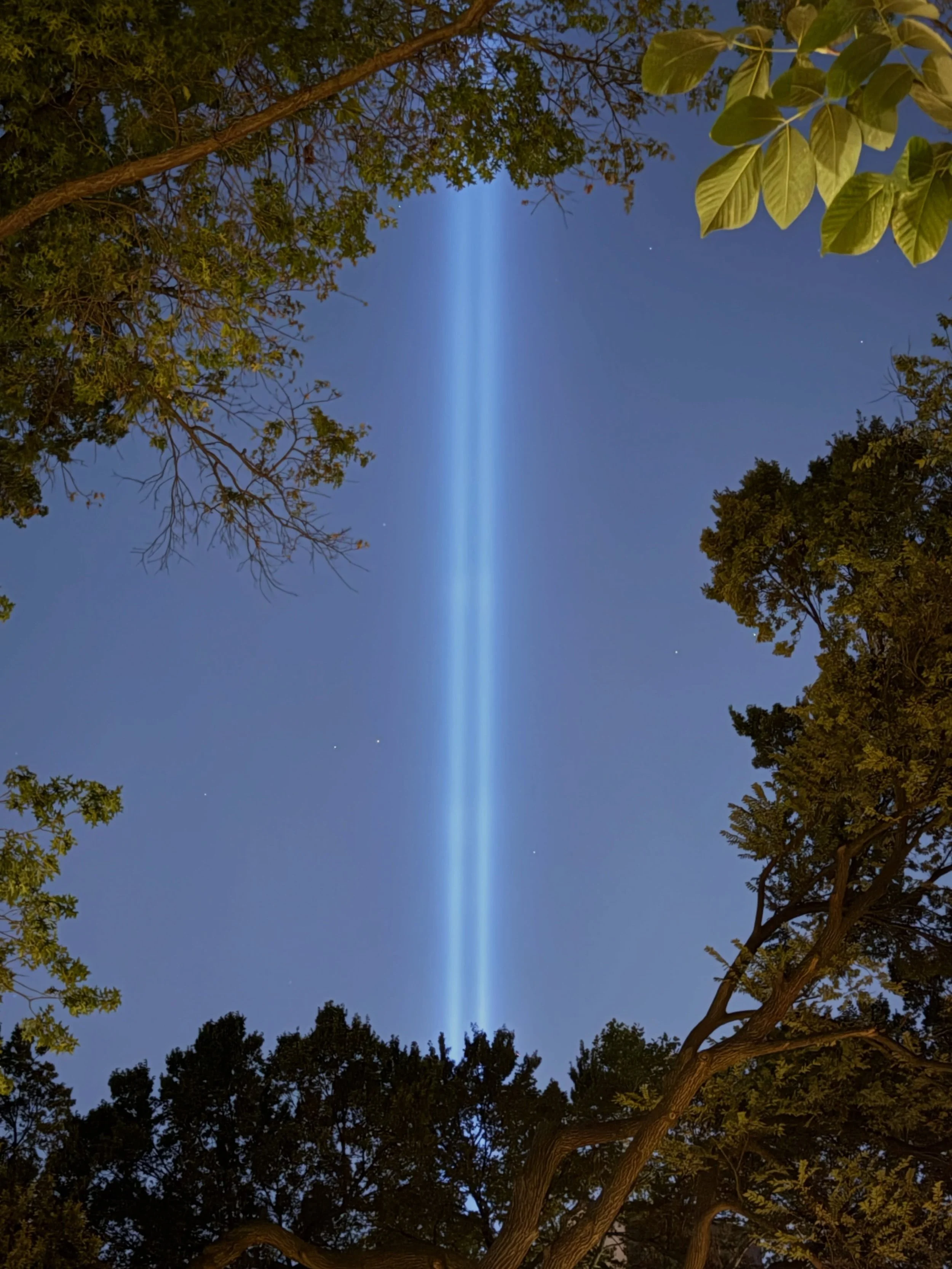 Two pairs of artists. One vision.

Days after September 11, conceptual artists Julian LaVerdiere and Paul Myoda were sketching &lsquo;Phantom Towers&rsquo; a glowing digital concept of light beams replacing the skyline. At the exact same time, archit