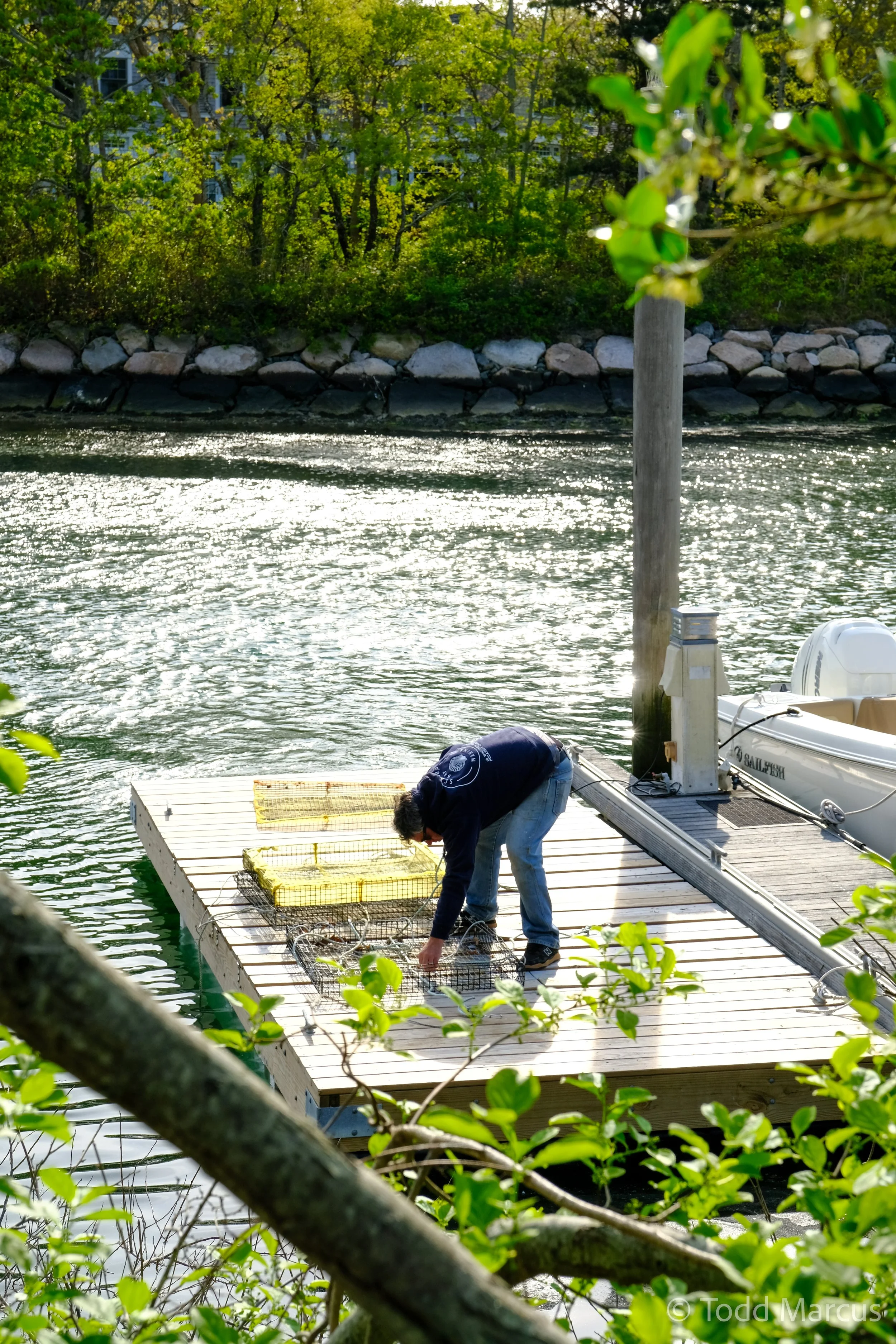 DSCF7853.jpg