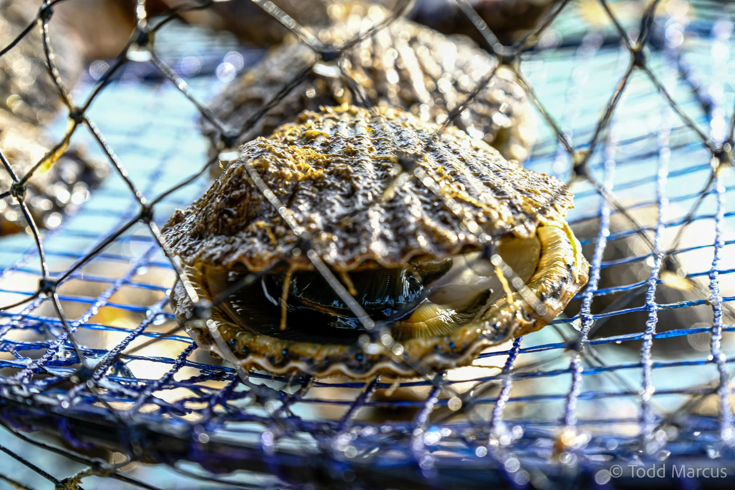DSCF7932.jpg
