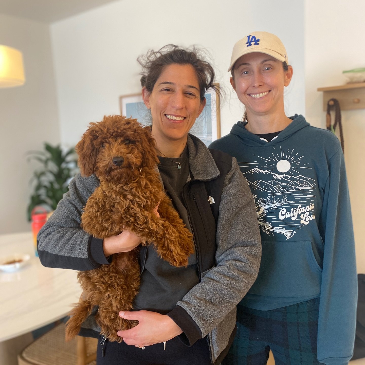 Slater takes center stage in our puppy training spotlight today! He joined us with an eagerness to learn about finding joy in solo time and independence. He is the the tick of his studies  in socialization, practicing his two-step loose lead walk, an