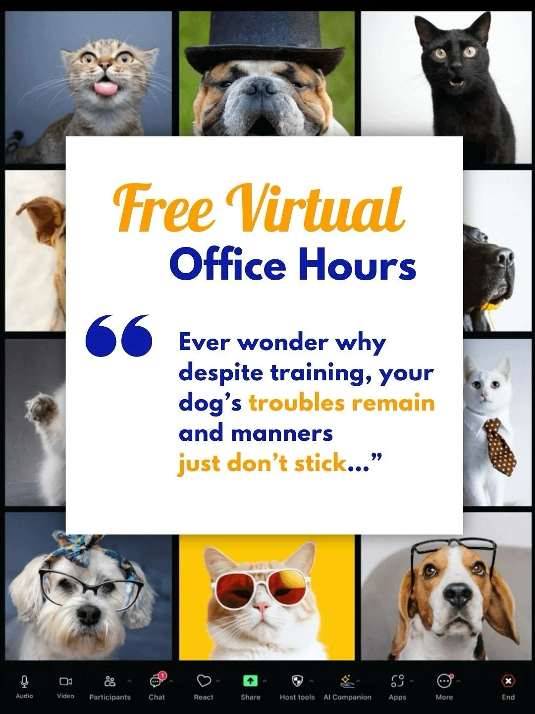 Ever wonder why your dog&rsquo;s behavior troubles remain and manners just don&rsquo;t stick despite of training? 🤔

You might be missing a link: exposure THEN socialization. 🐾

Ready for a breakthrough? 

Join our FREE Virtual Office Hours! Get ex