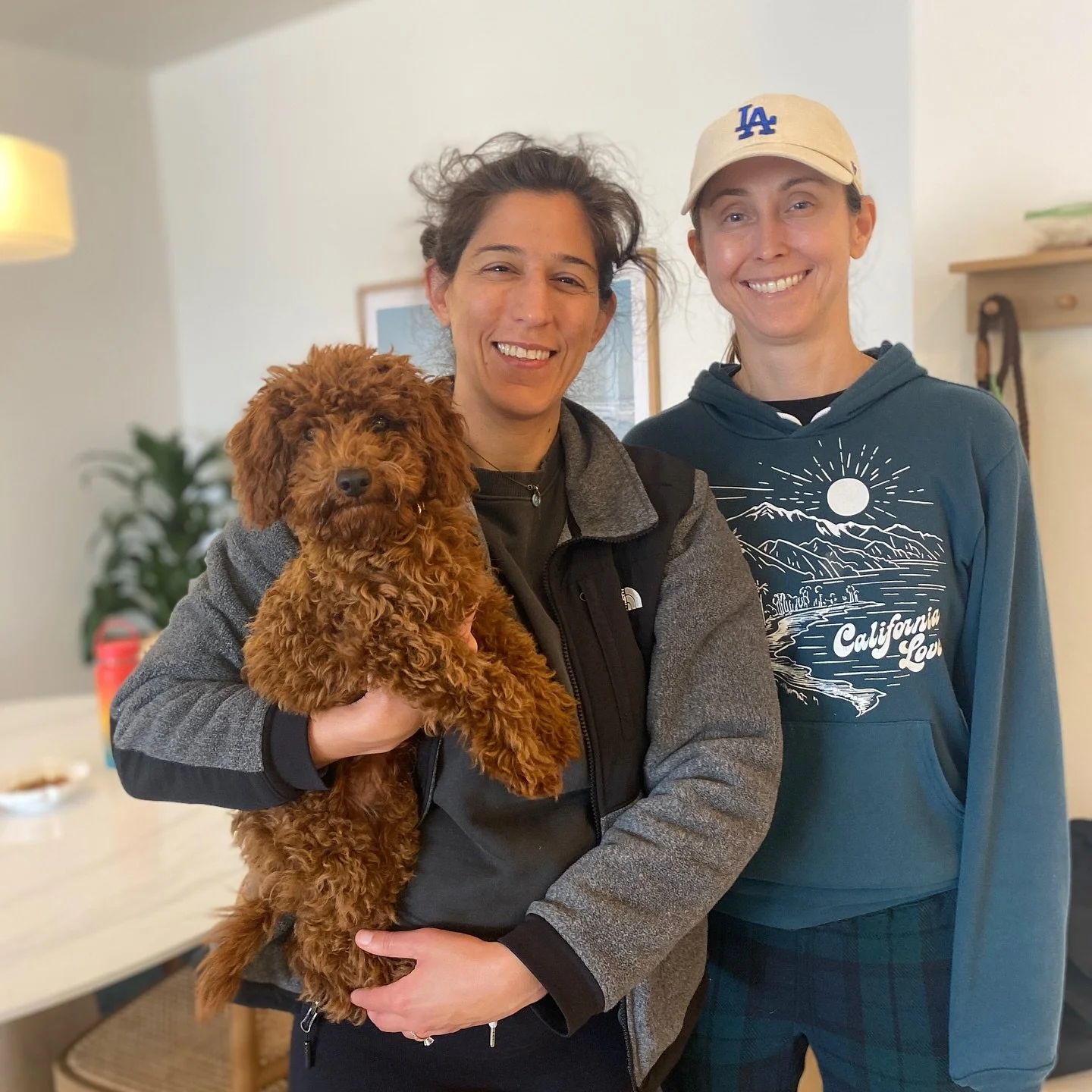 Slater takes center stage in our puppy training spotlight today! He joined us with an eagerness to learn about finding joy in solo time and independence. He is the thick of his studies in socialization, practicing his two-step loose leash walking, an
