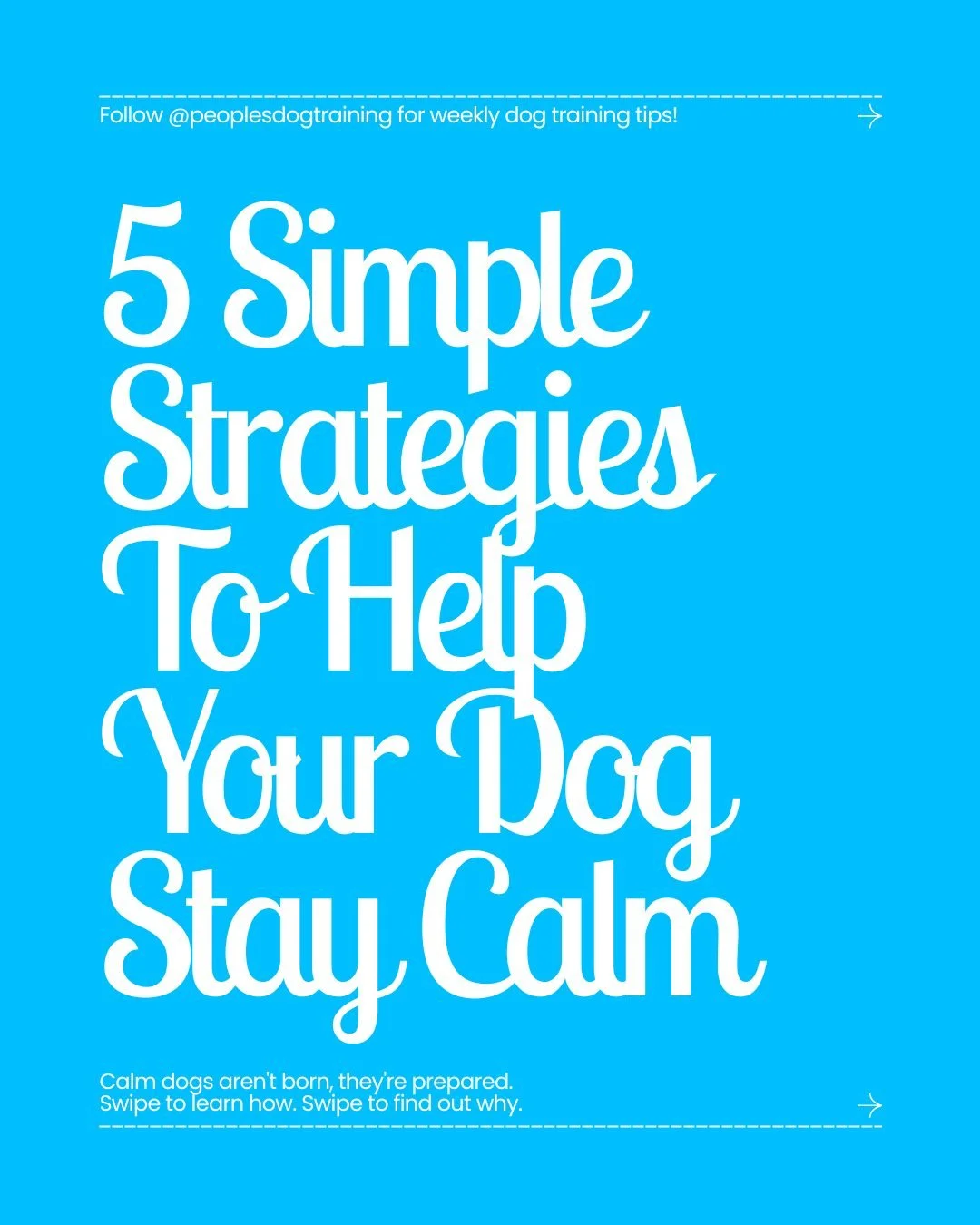 Most people think calmness is something a dog either has... or doesn't. In reality, calm behavior is built long before the excitement begins.

The owners with the calmest dogs know when their dog's energy naturally rises, they meet that need with pur