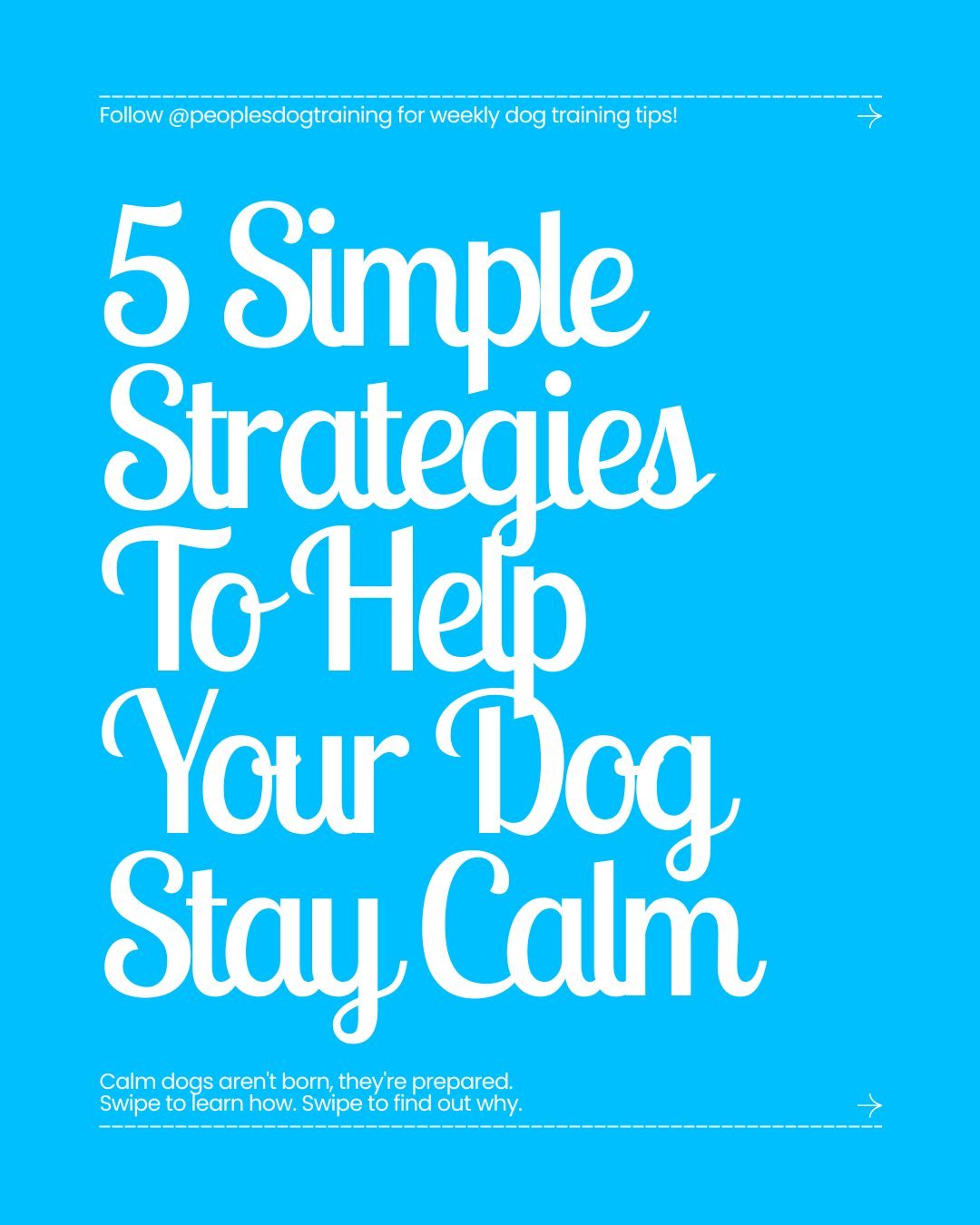 Most people think calmness is something a dog either has... or doesn't. In reality, calm behavior is built long before the excitement begins.

The guardians with the calmest dogs know when their dog's energy naturally rises, they meet that need with 