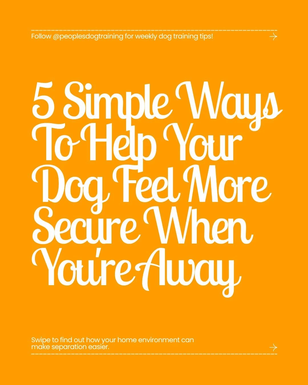 Preparing your dog for separation starts long before you pick up your keys.

The environment you leave behind can influence how safe and comfortable your dog feels while you're away. Familiar sounds, lighting, predictable routines, open spaces, and c