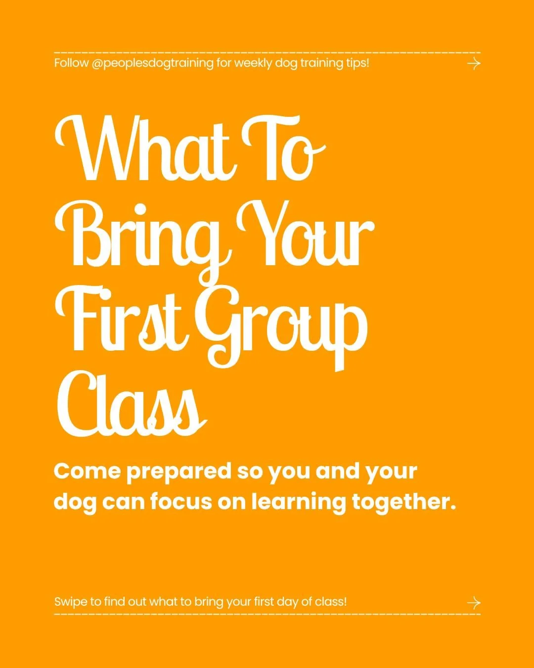 Our 6-week Group Obedience Classes begin Saturday, August 22 at Virginia Avenue Park in Santa Monica. Whether you're starting with the basics or continuing your training journey, each class is designed to strengthen communication, build confidence, a